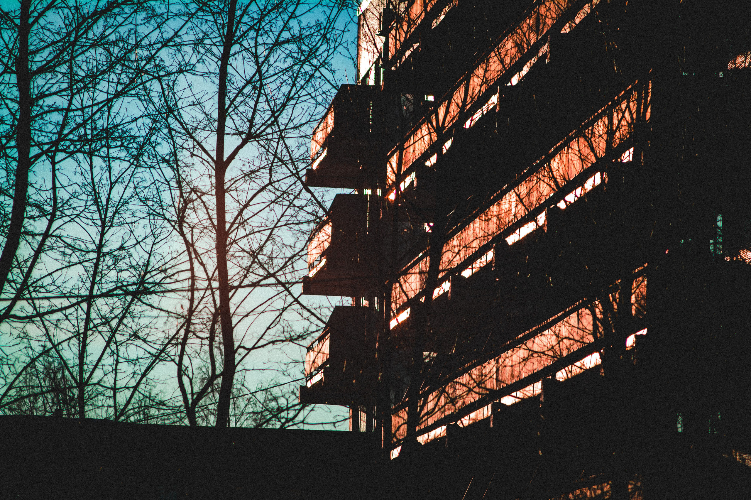 Со дна на вершину. Den Mirov — Фотограф, Музыкант