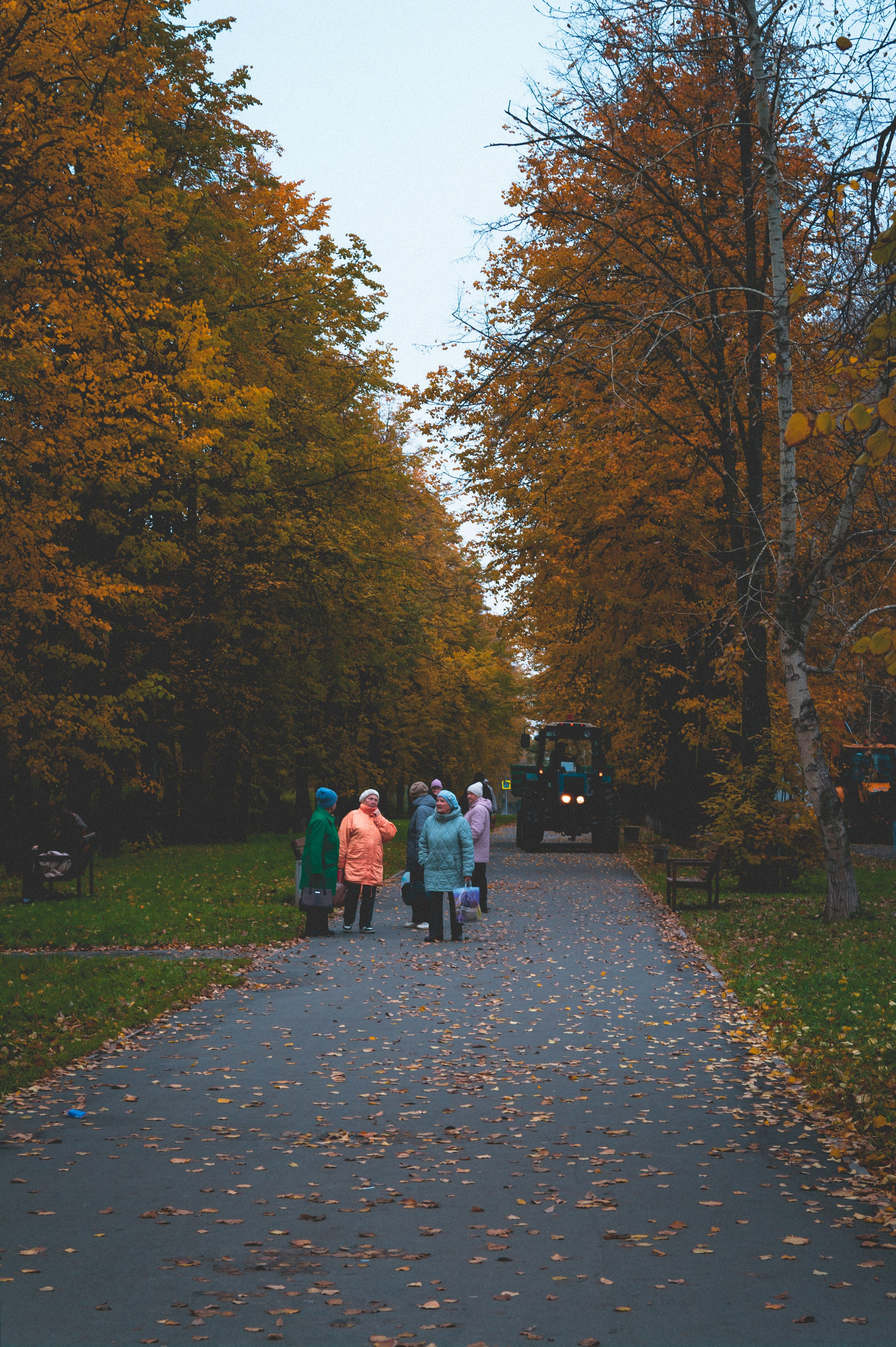 Октябрь 2025. Den Mirov — Фотограф, Музыкант