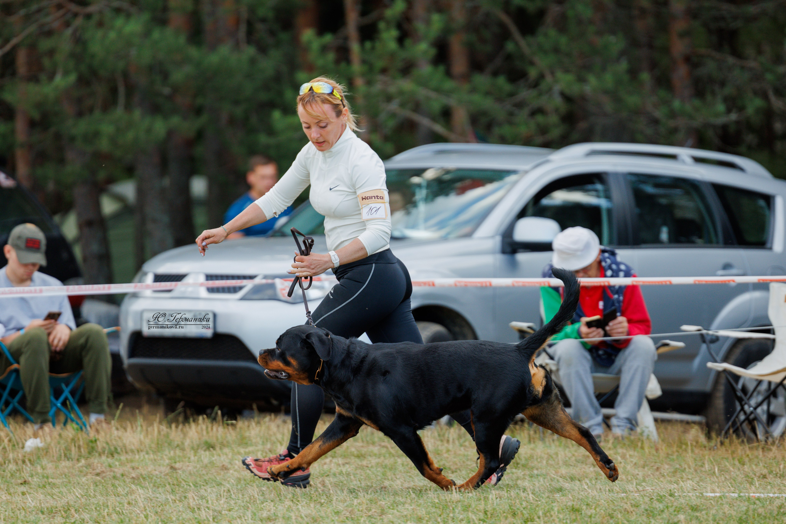 ПК и КЧК ротвейлеры Тверь 6-7.07.2024. Фотограф-анималист Юлия Германика