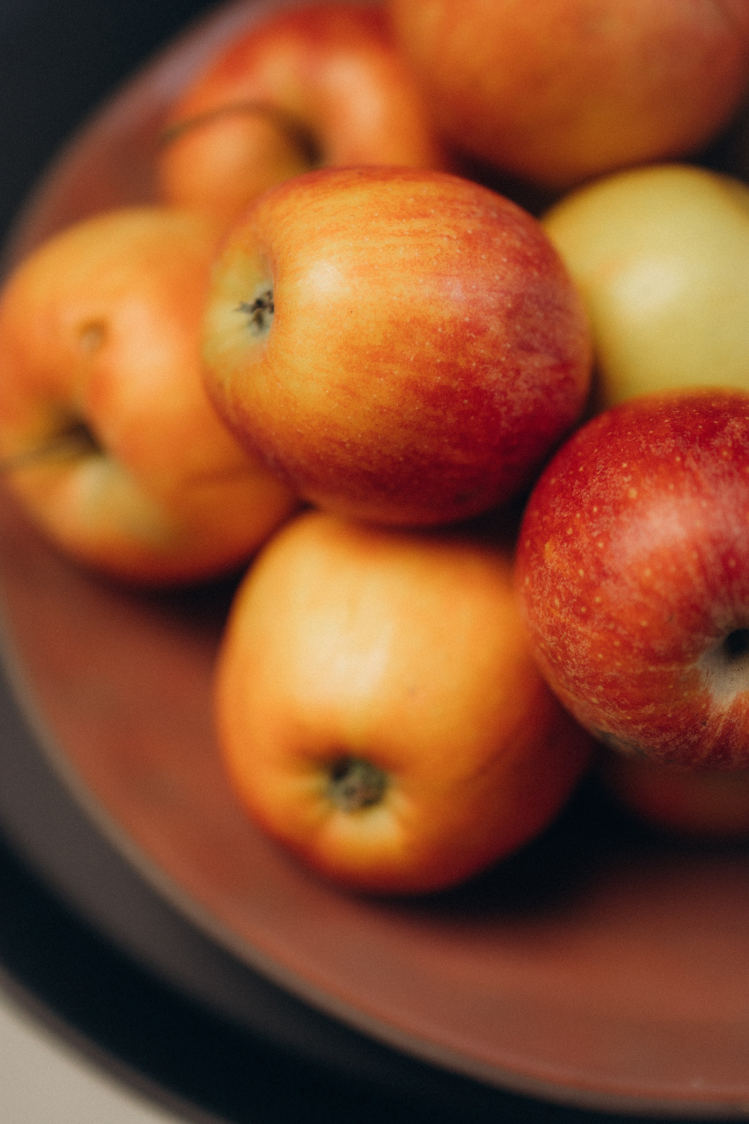 Тюльпаны. Главная