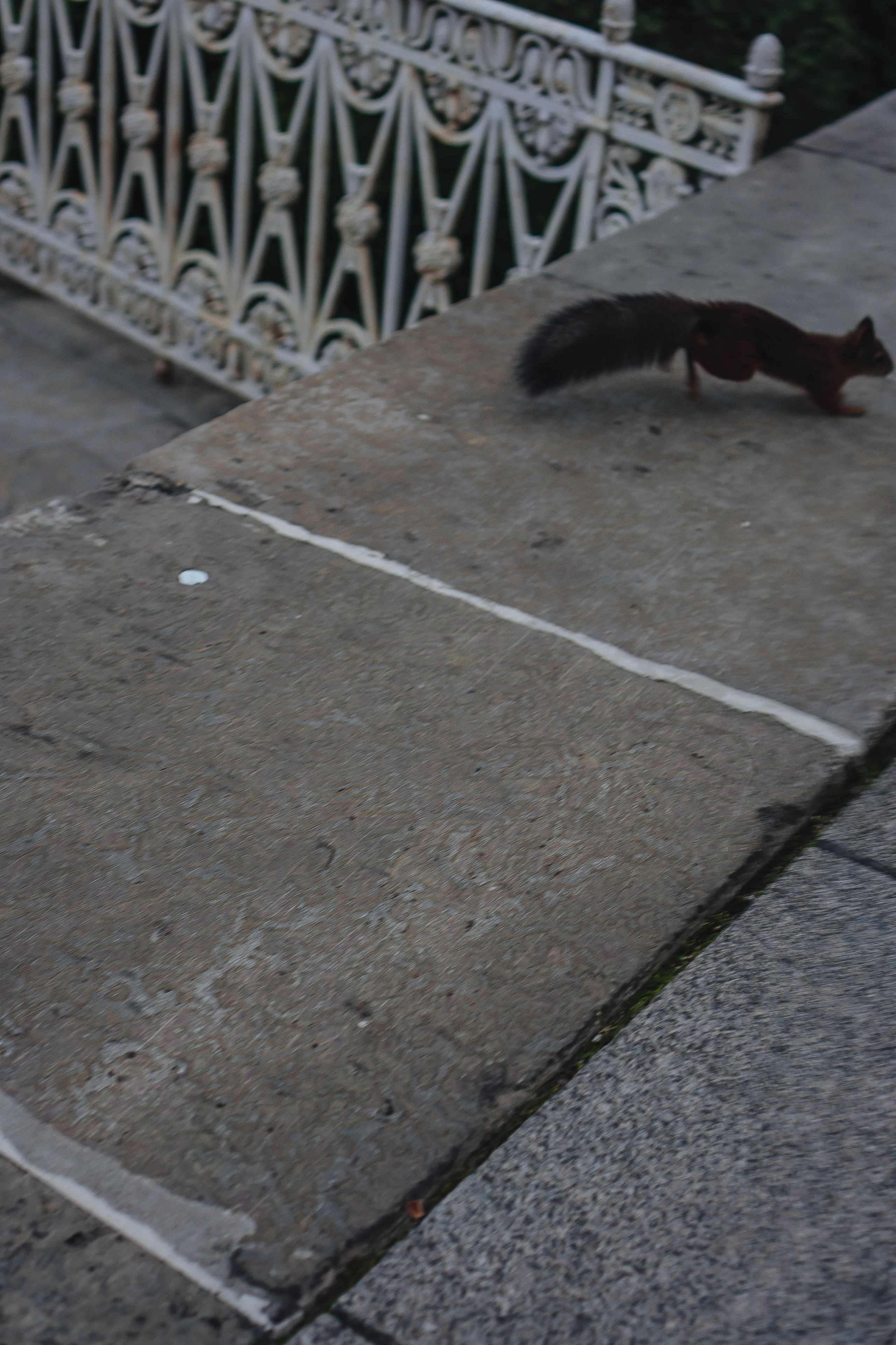 СВАДЕБНАЯ СЬЕМКА НА РАССВЕТЕ НА ЕЛАГИНОМ ОСТОРОВЕ. Профессиональный фотограф, Санкт-Петербург — Виктория Богомолова