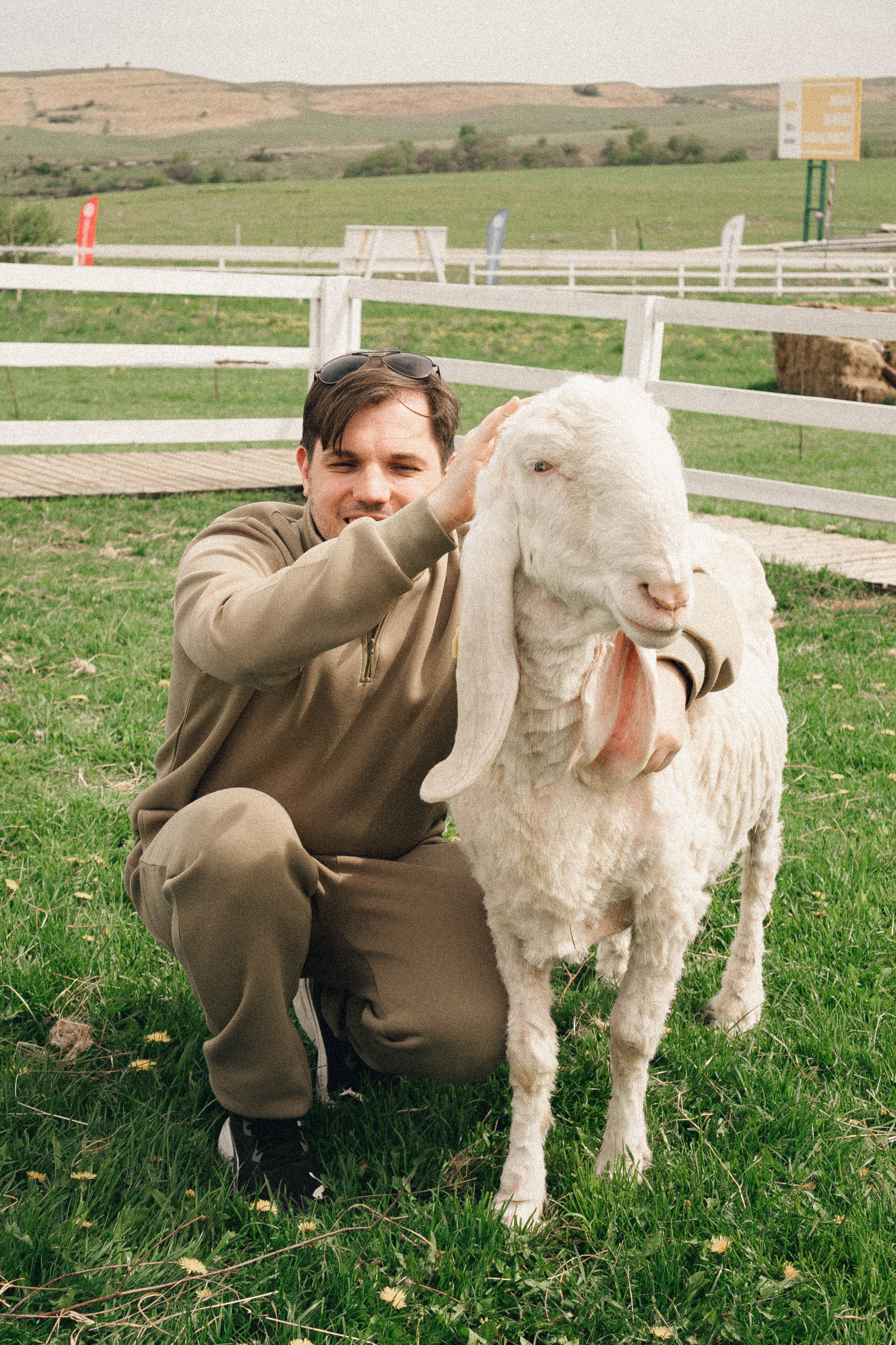 Ферма Альпак. Профессиональный фотограф, Санкт-Петербург — Виктория Богомолова