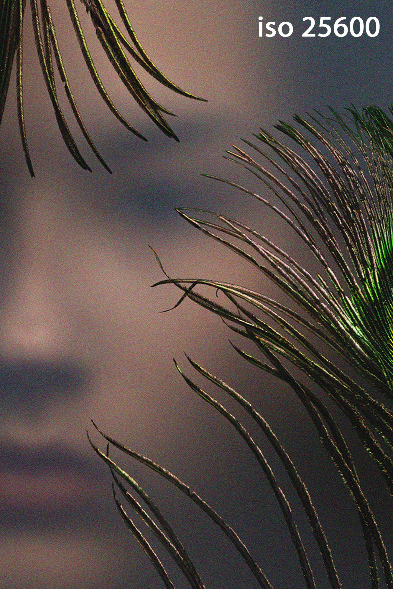 Фотошкола FOTOFQSKOOL: очное и онлайн обучение для всех уровней. FOTOFAQ SKOOL г. Санкт-Петербург: очные, дистанционные и онлайн курсы фотографии