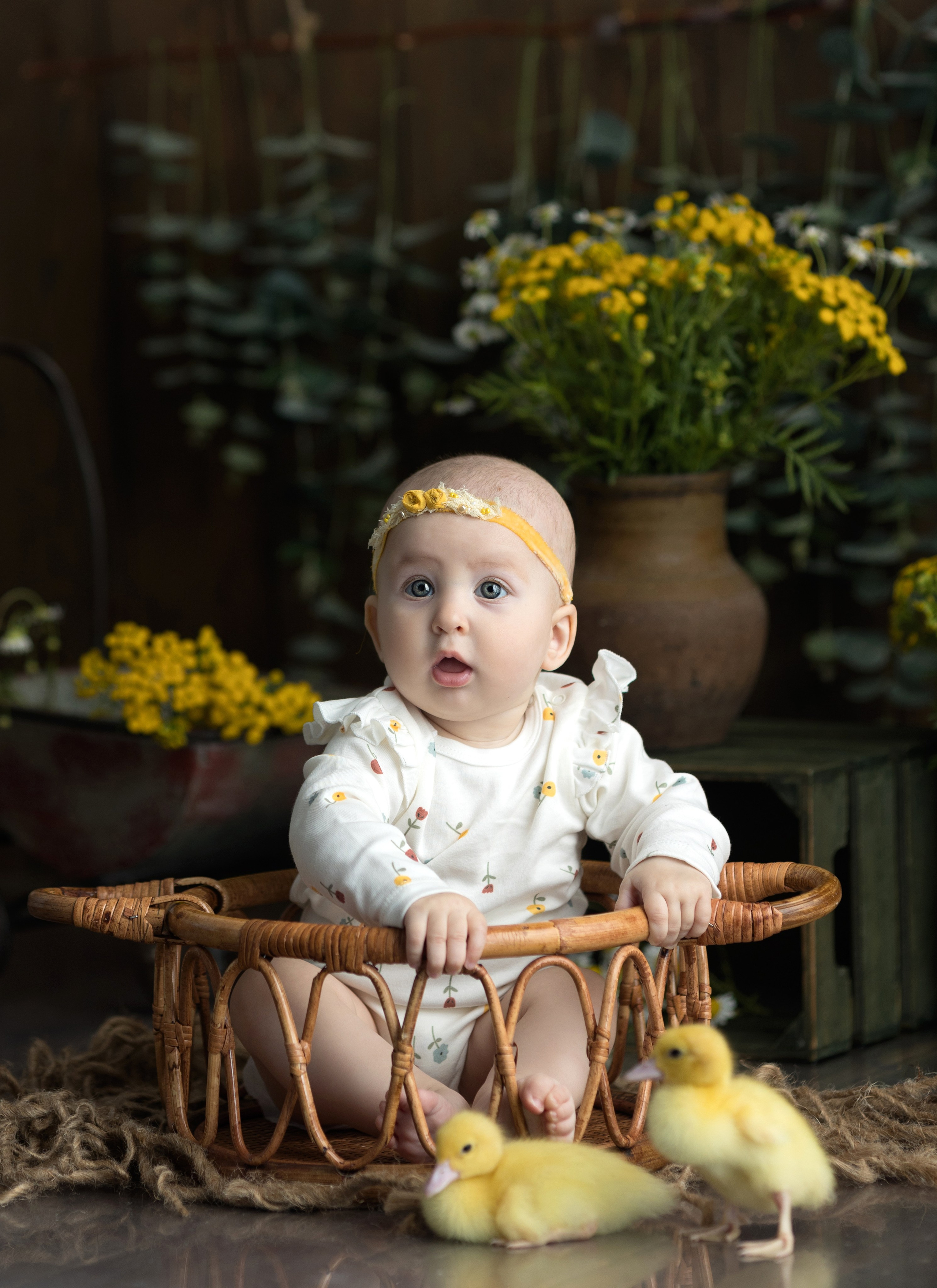 Утки. Главная