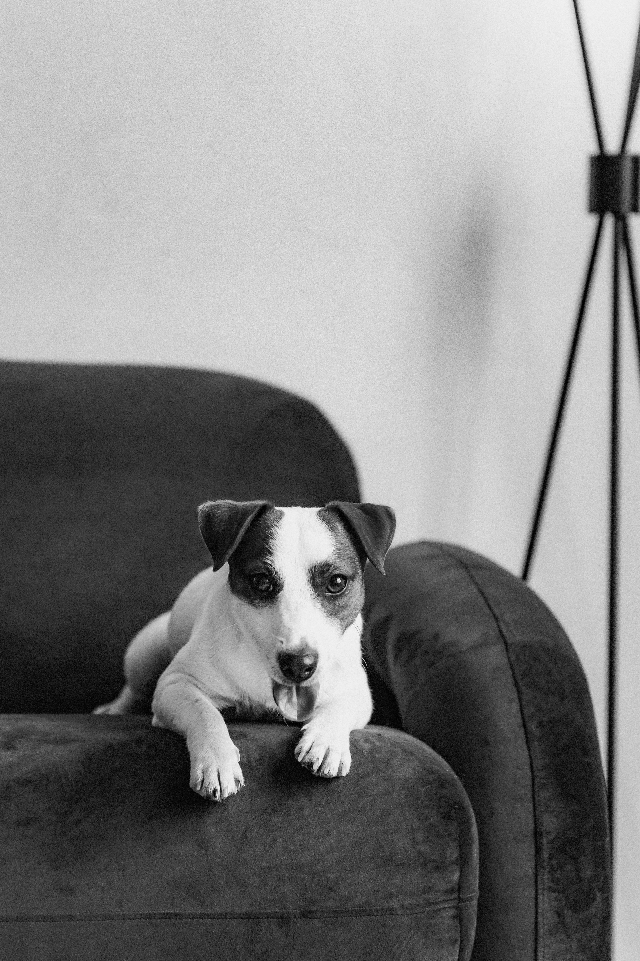 2024.03.24 Танюша, Руслан и Боба. Ирина Бешляга. Фотограф в Москве и по всей России