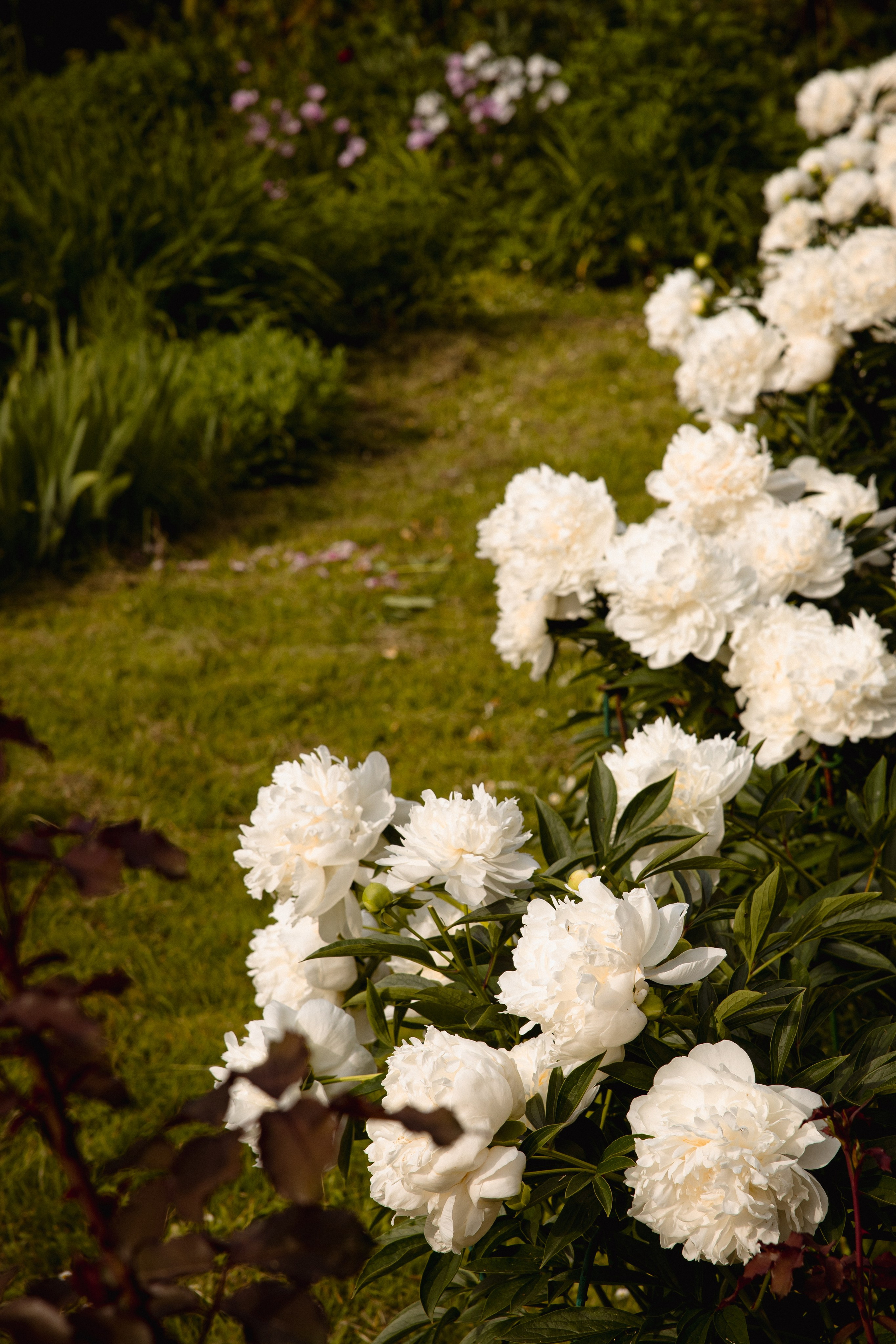 Настя с сыном у Alma-Mater. Ваш семейный newborn и lifestyle фотограф в СПБ Наталья Журавлева