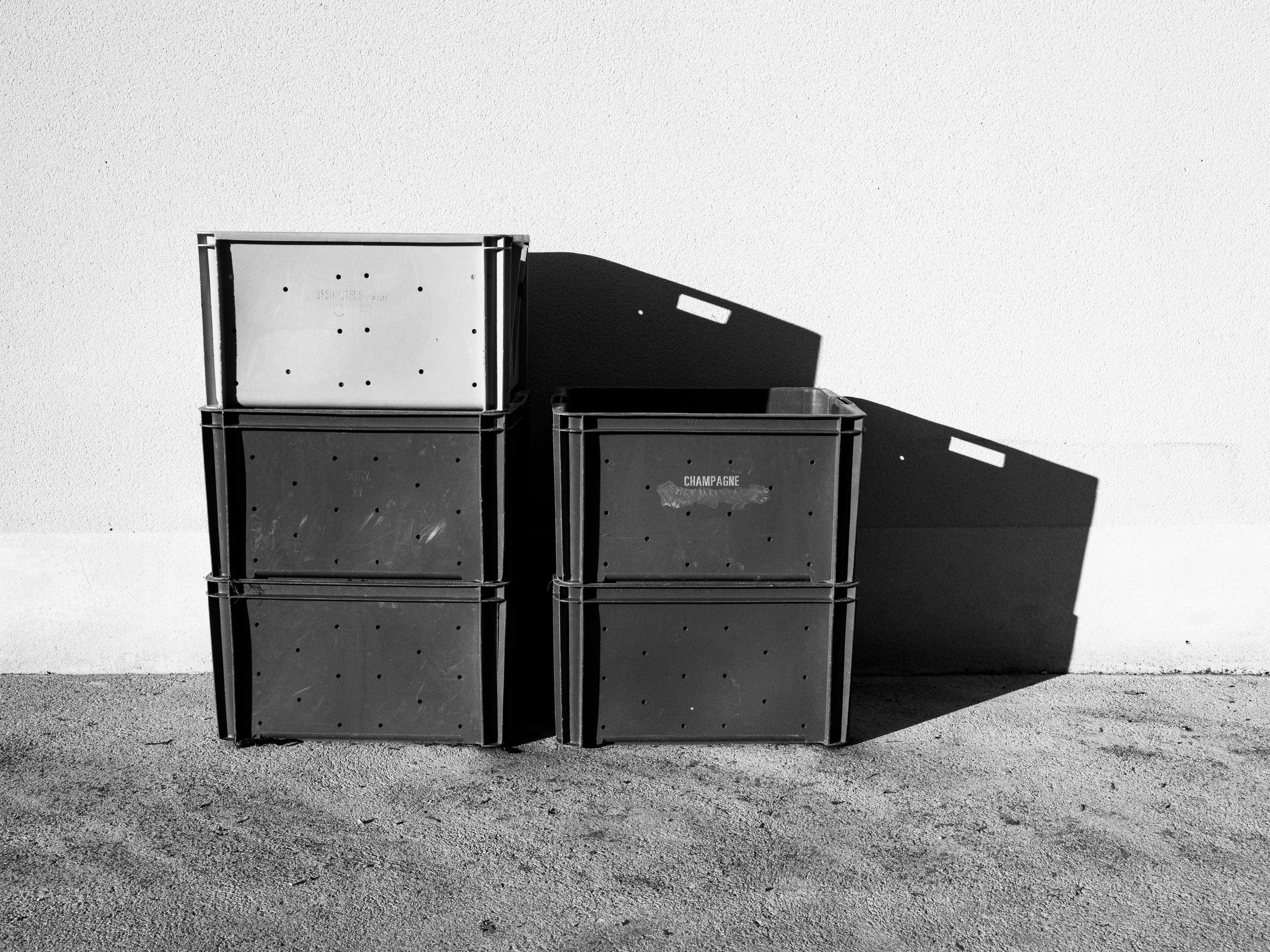 Champagne 2025. Фотограф в Крыму Алевтина Швец