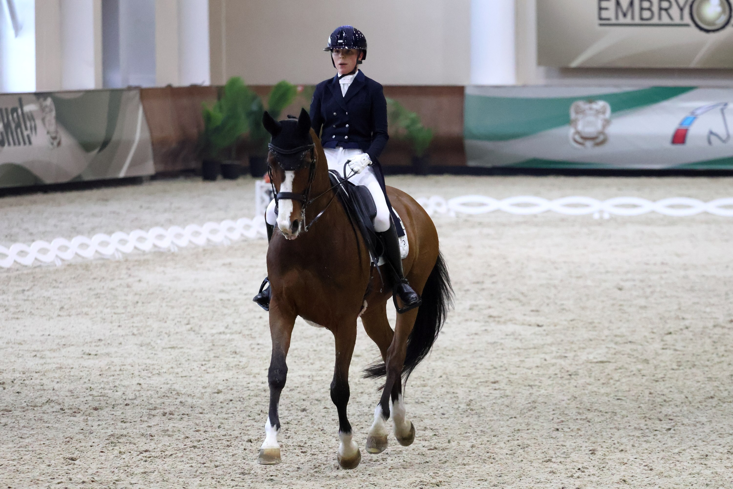 Соревнования по выездке КСК «Виват, Россия!». Спортивный и репортажный фотограф Ермакова Светлана
