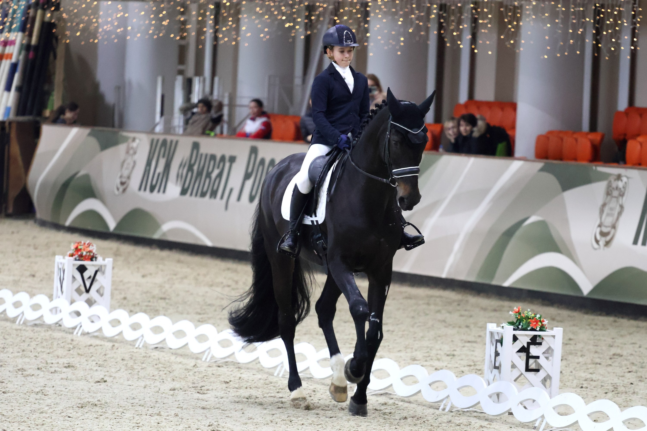 Соревнования по выездке КСК «Виват, Россия!». Спортивный и репортажный фотограф Ермакова Светлана