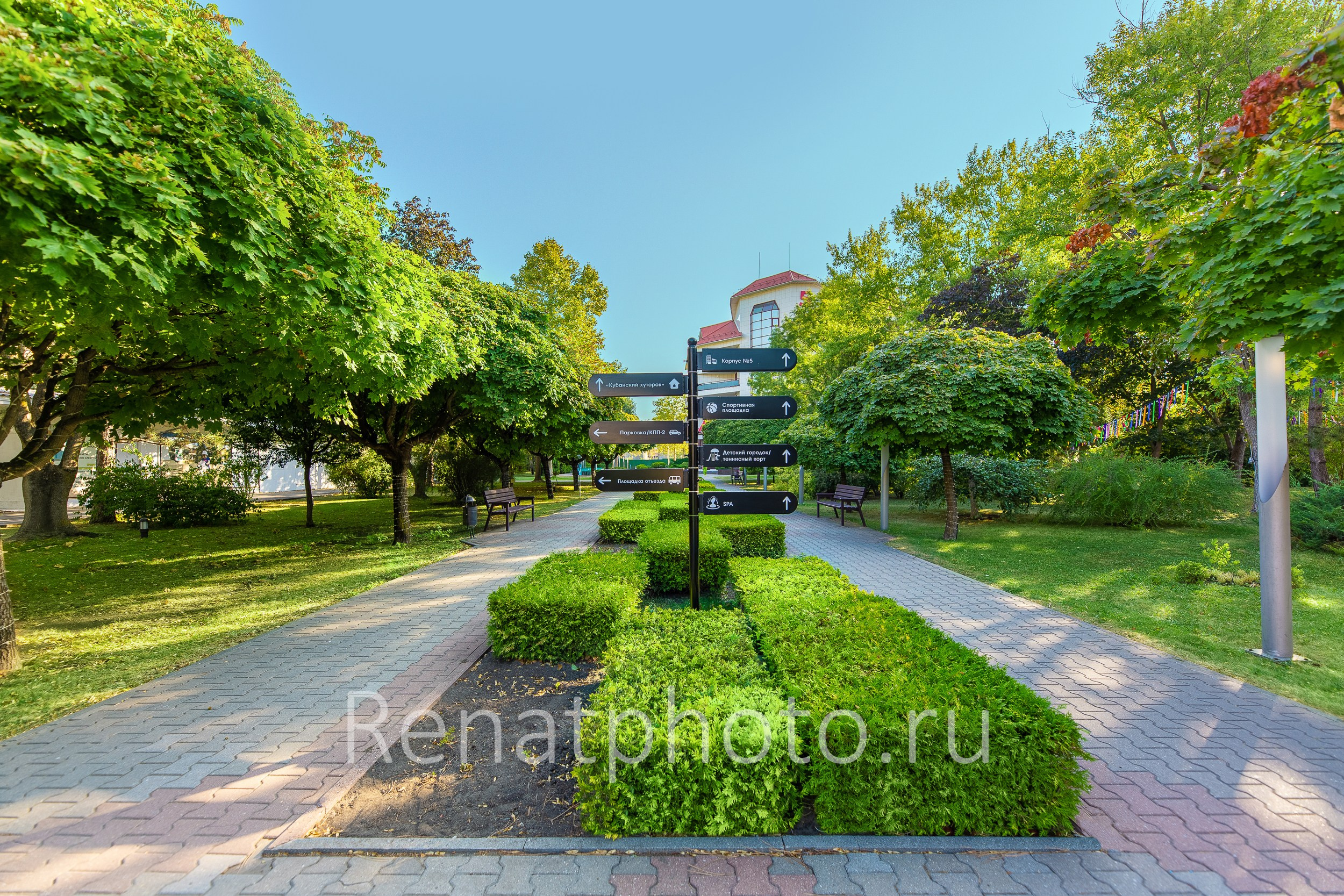 Renatphoto-интерьерная фотосъемка в краснодаре. Профессиональная фотосъёмка интерьеров, предметная фотосессия еды для меню г. Анапа