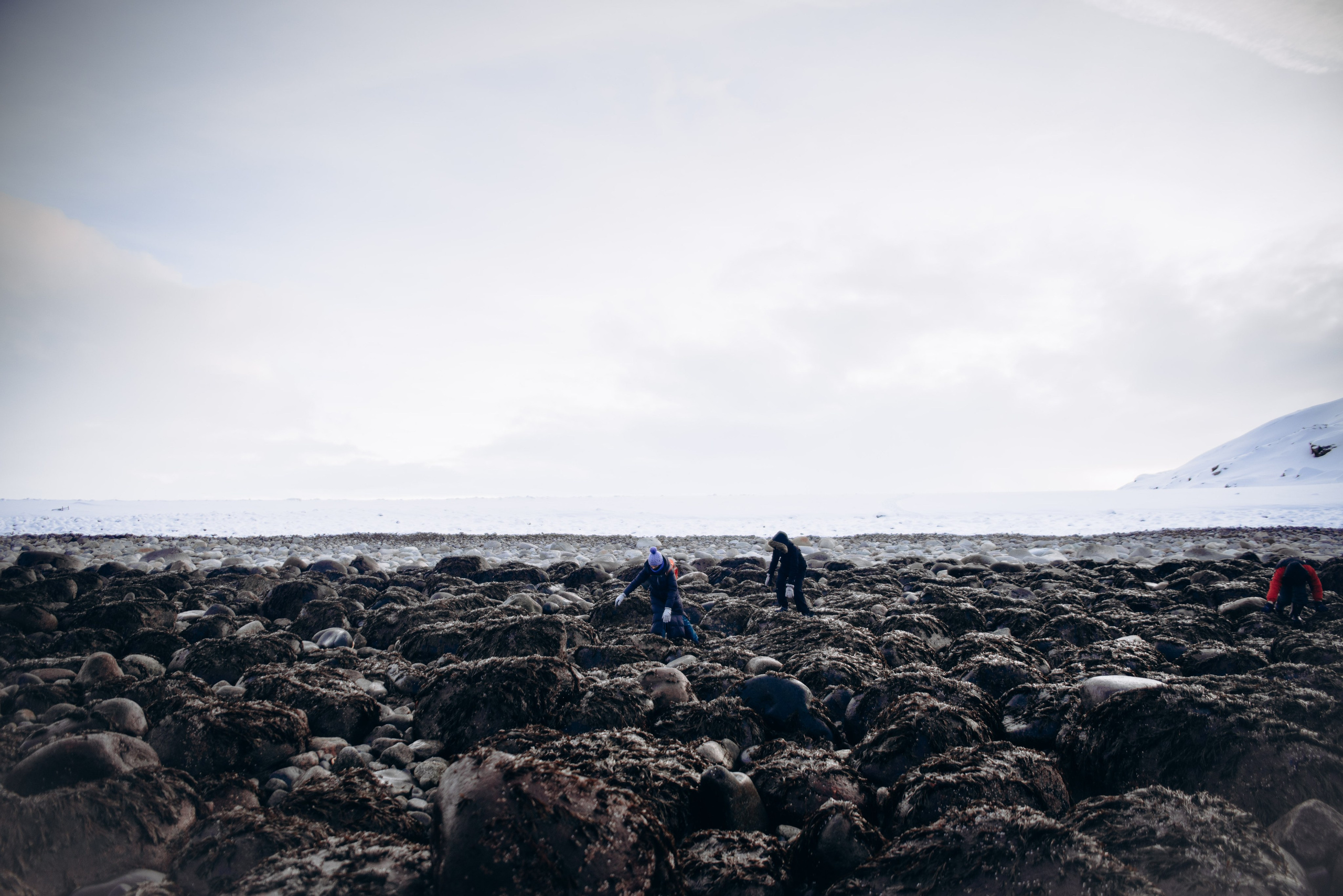 Териберка, Мурманск, Россия 🇷🇺. Anita_photo