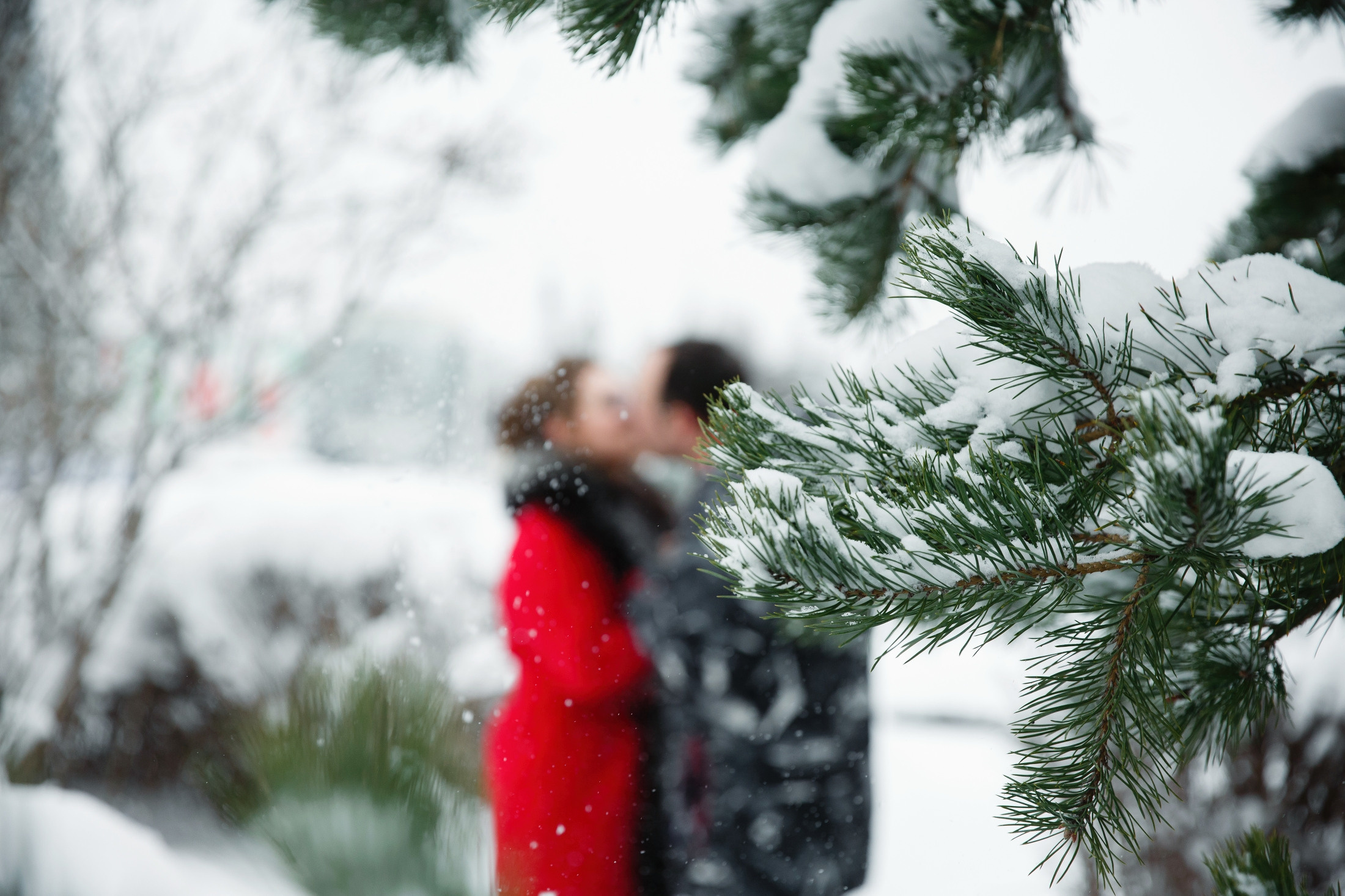 Свадебные фотографии молодоженов Ирины и Александра. Тула. Фотограф на крещение, венчание, свадьбу. Тула, Новомосковск