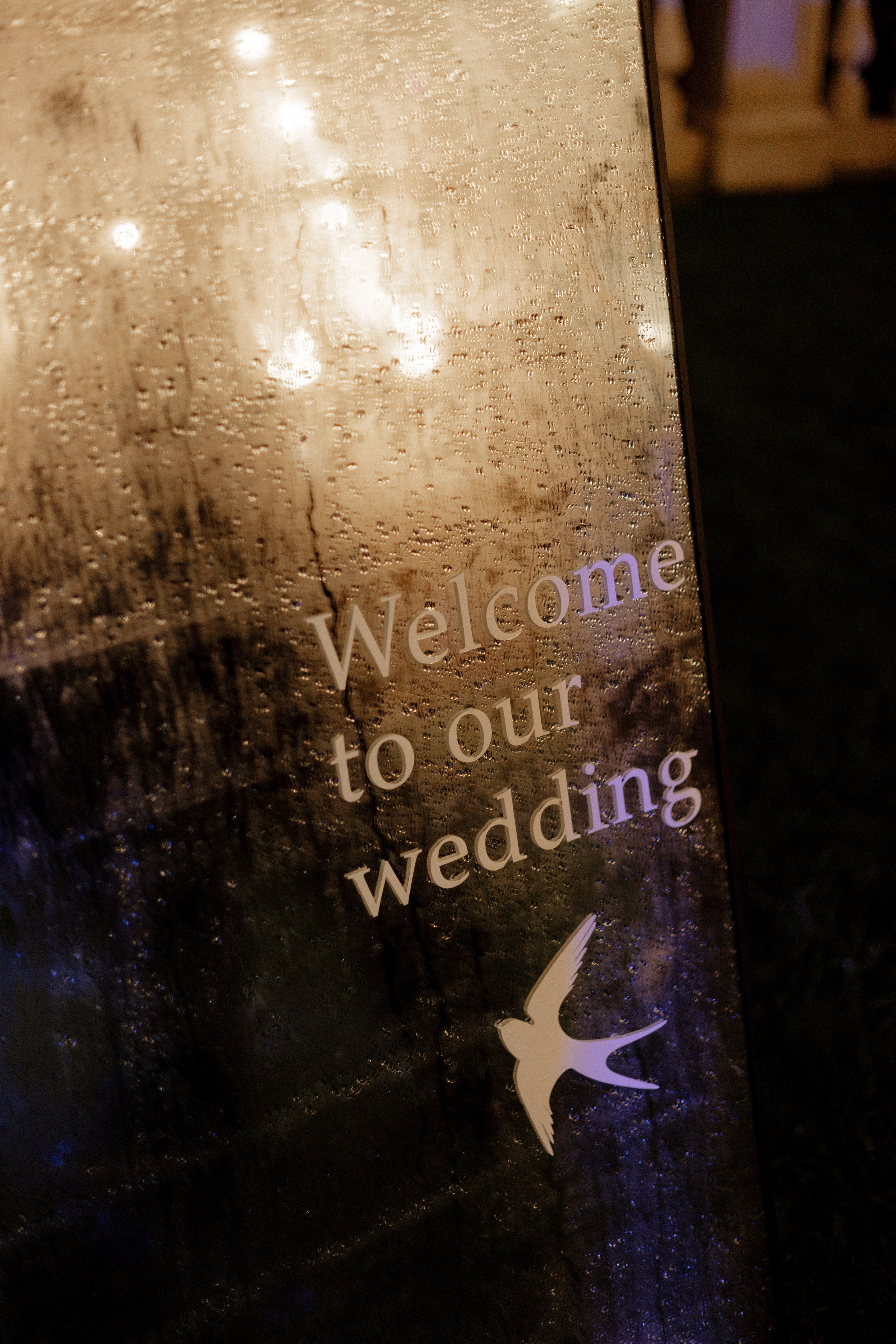 Аля и Паша. Свадьба в Пахра Парк. Свадебный и портретный фотограф в Москве Анастасия Масюк