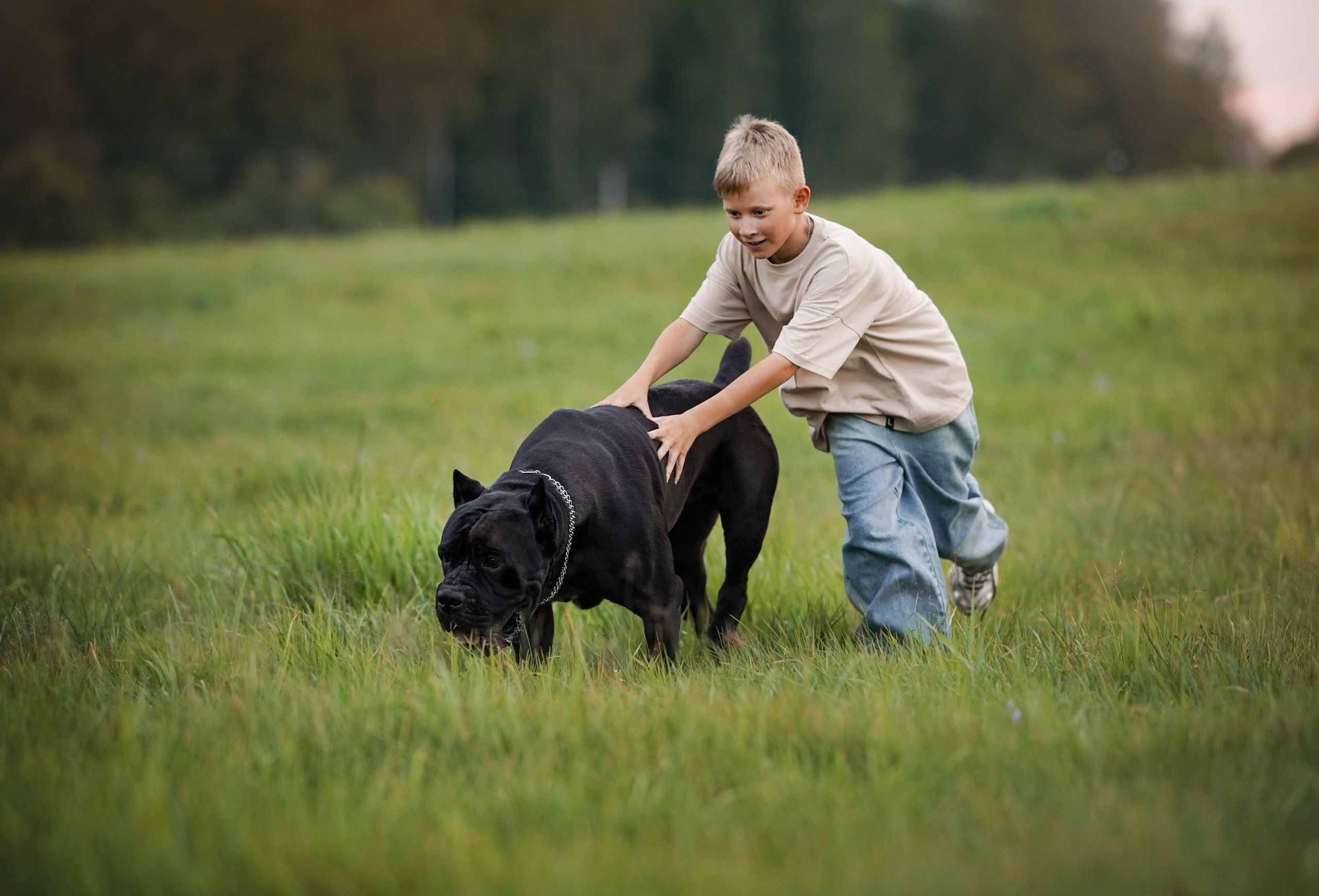 Юлия Костя и Виннер. Фотограф-анималист в Санкт-Петербурге Яна Мартынова