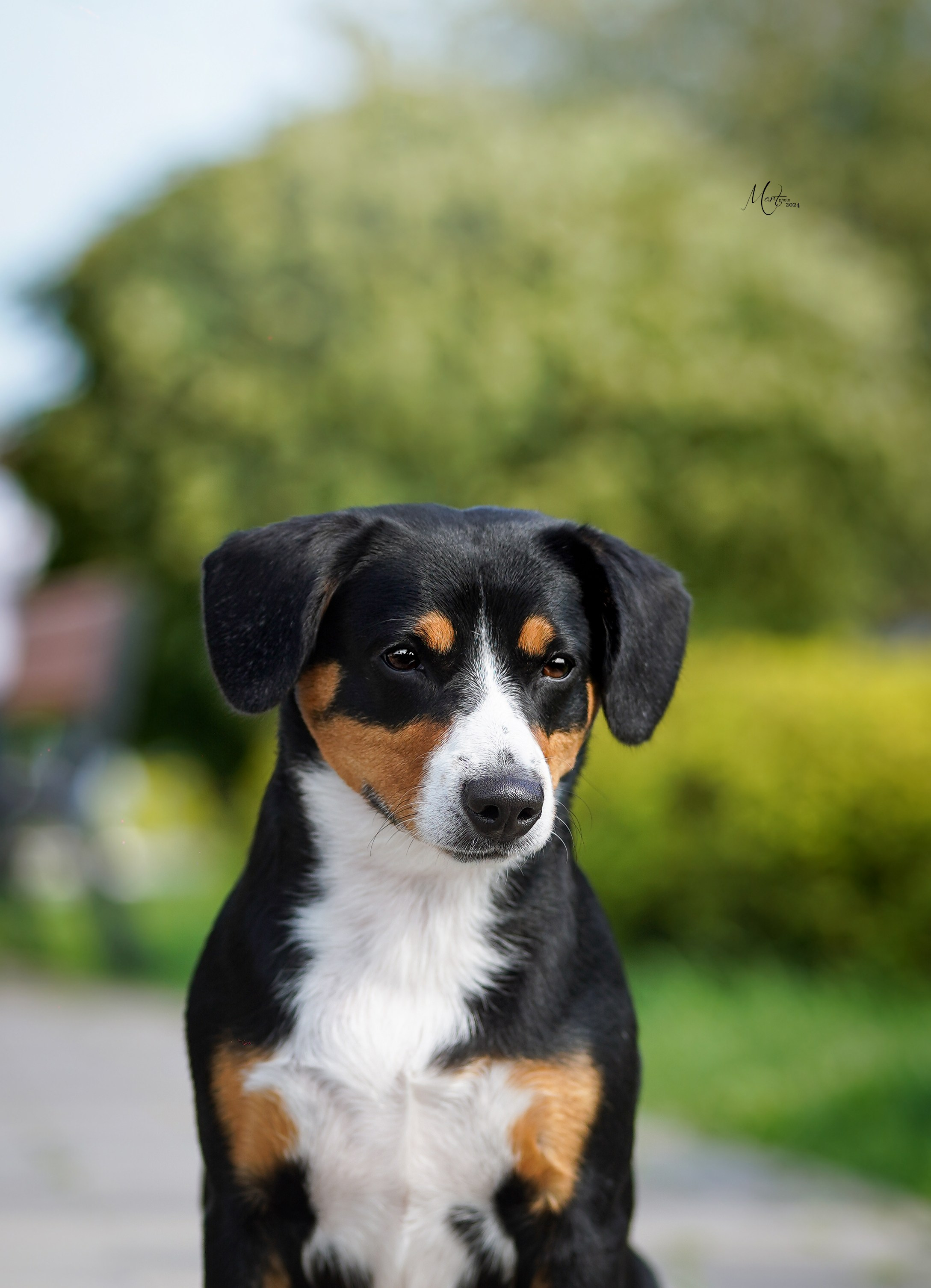 Выставки 2024. Фотограф-анималист в Санкт-Петербурге Яна Мартынова
