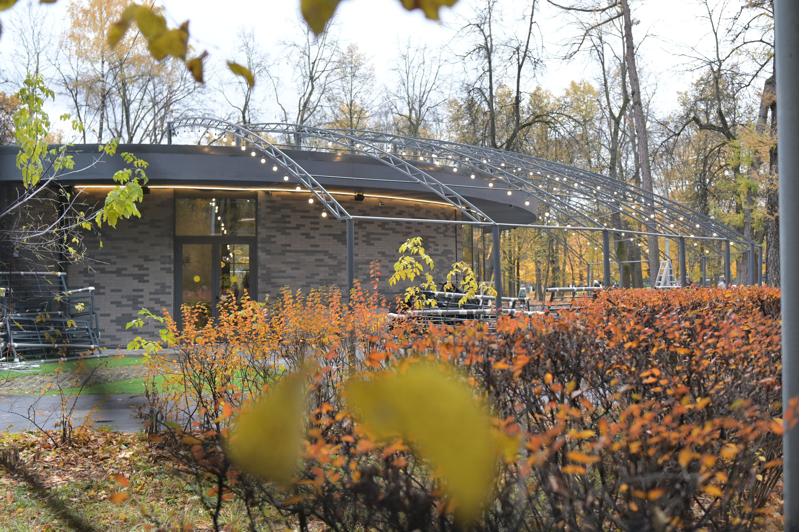 20241026 Сокольники. Дмитрий Ремизов. Фотография, как хобби