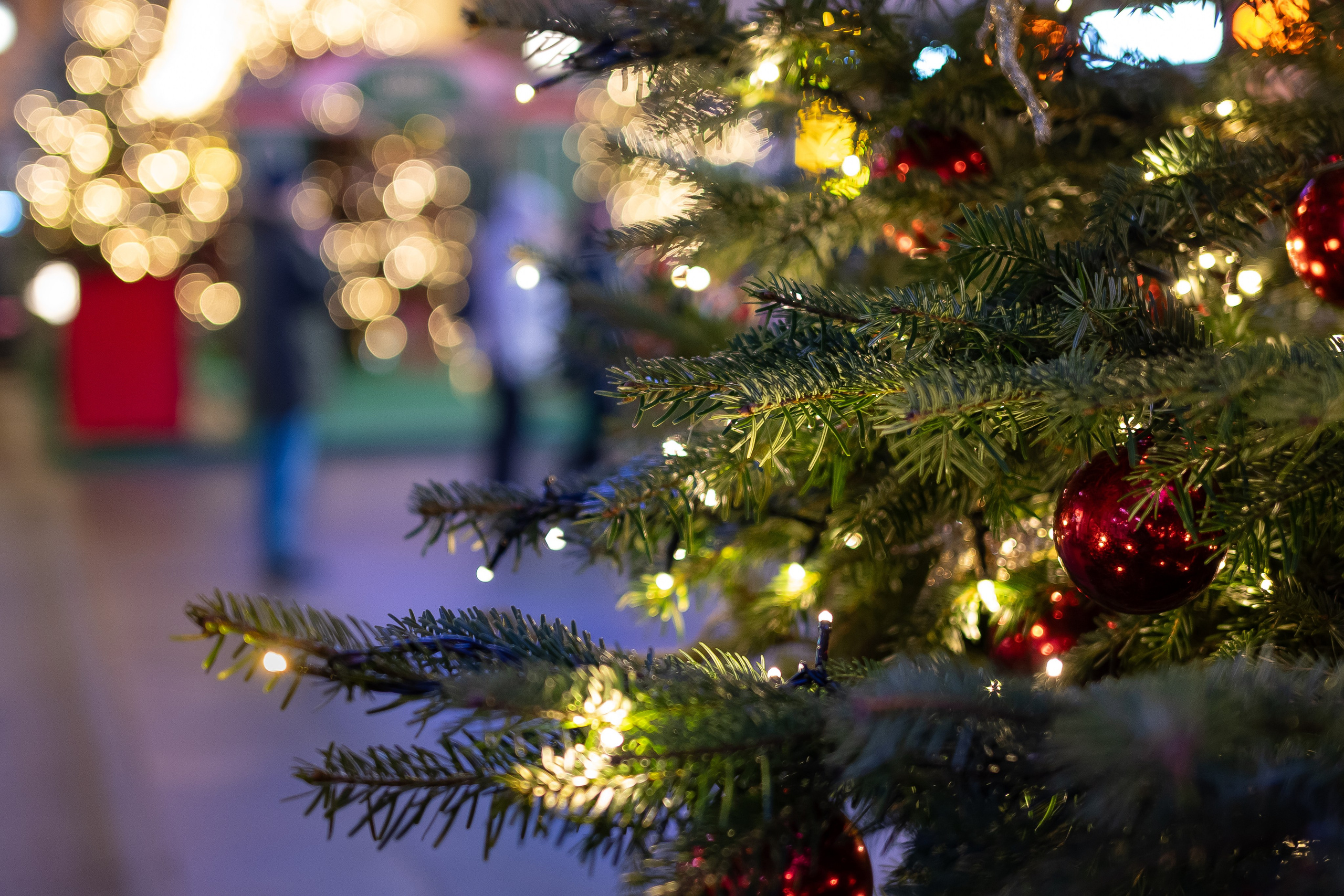 20241229 Вечерний центр. Дмитрий Ремизов. Фотография, как хобби