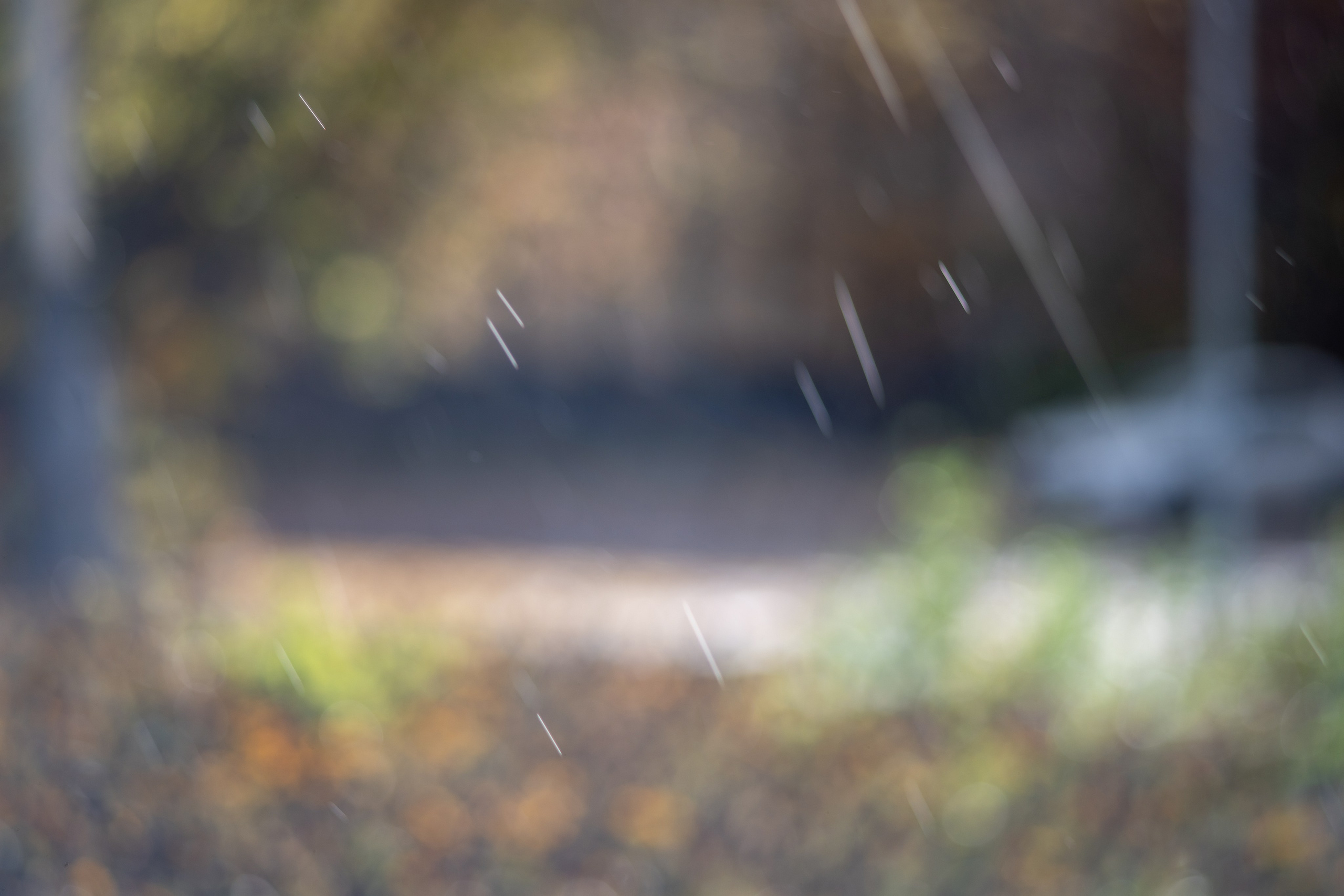 20251012 МГУ. Дмитрий Ремизов. Фотография, как хобби