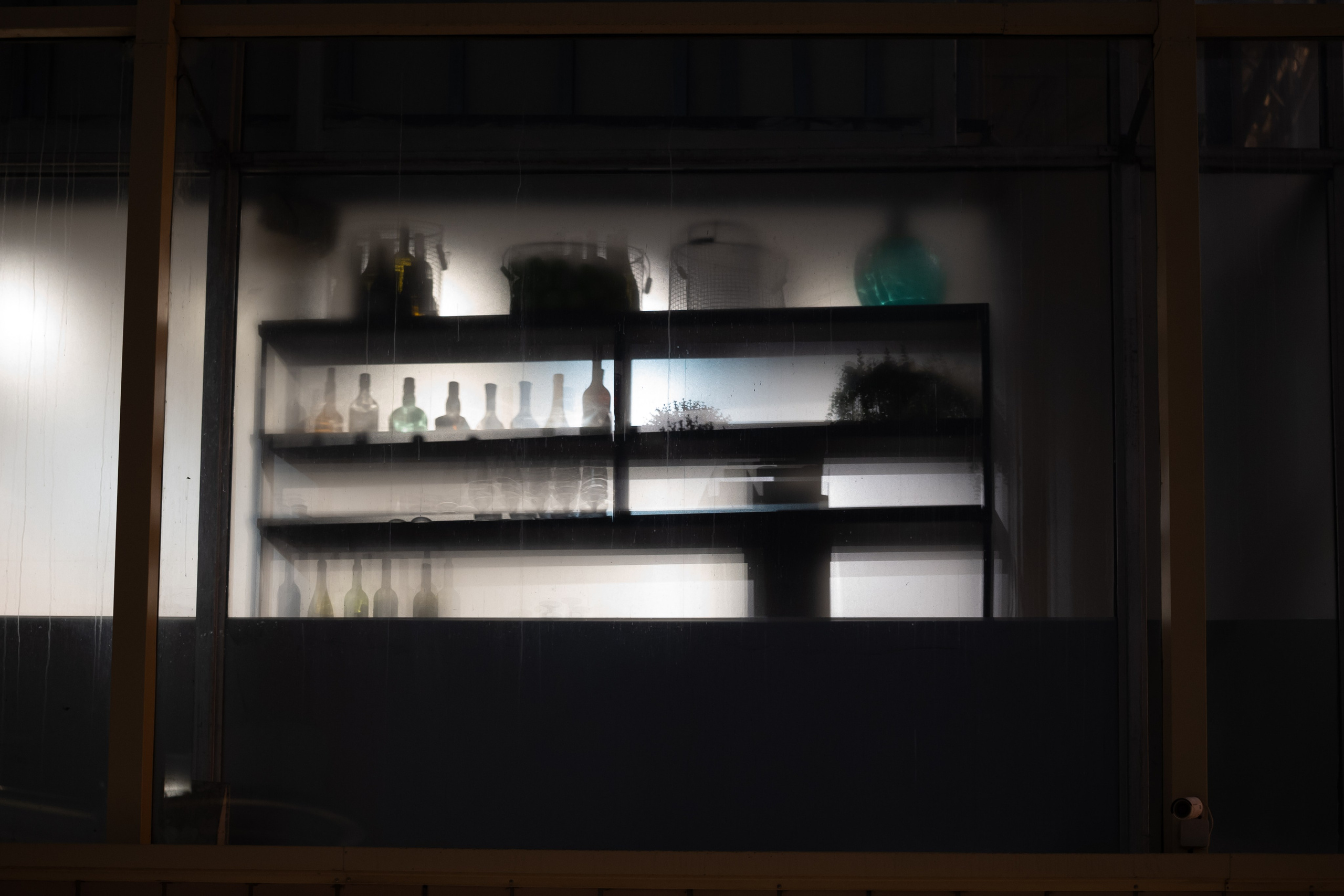 20241201 от Чеховской до Арбатской. Дмитрий Ремизов. Фотография, как хобби