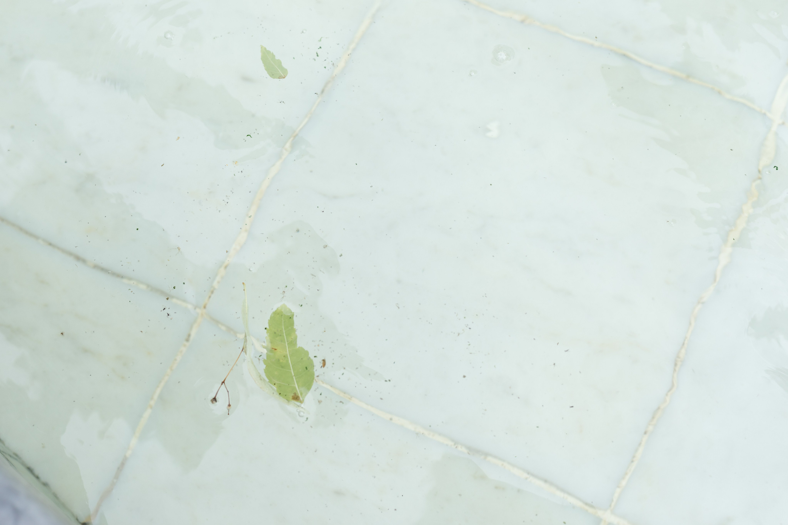 Nina and Polina. Надежда Крылова портретный фотограф документальный Санкт-Петербург