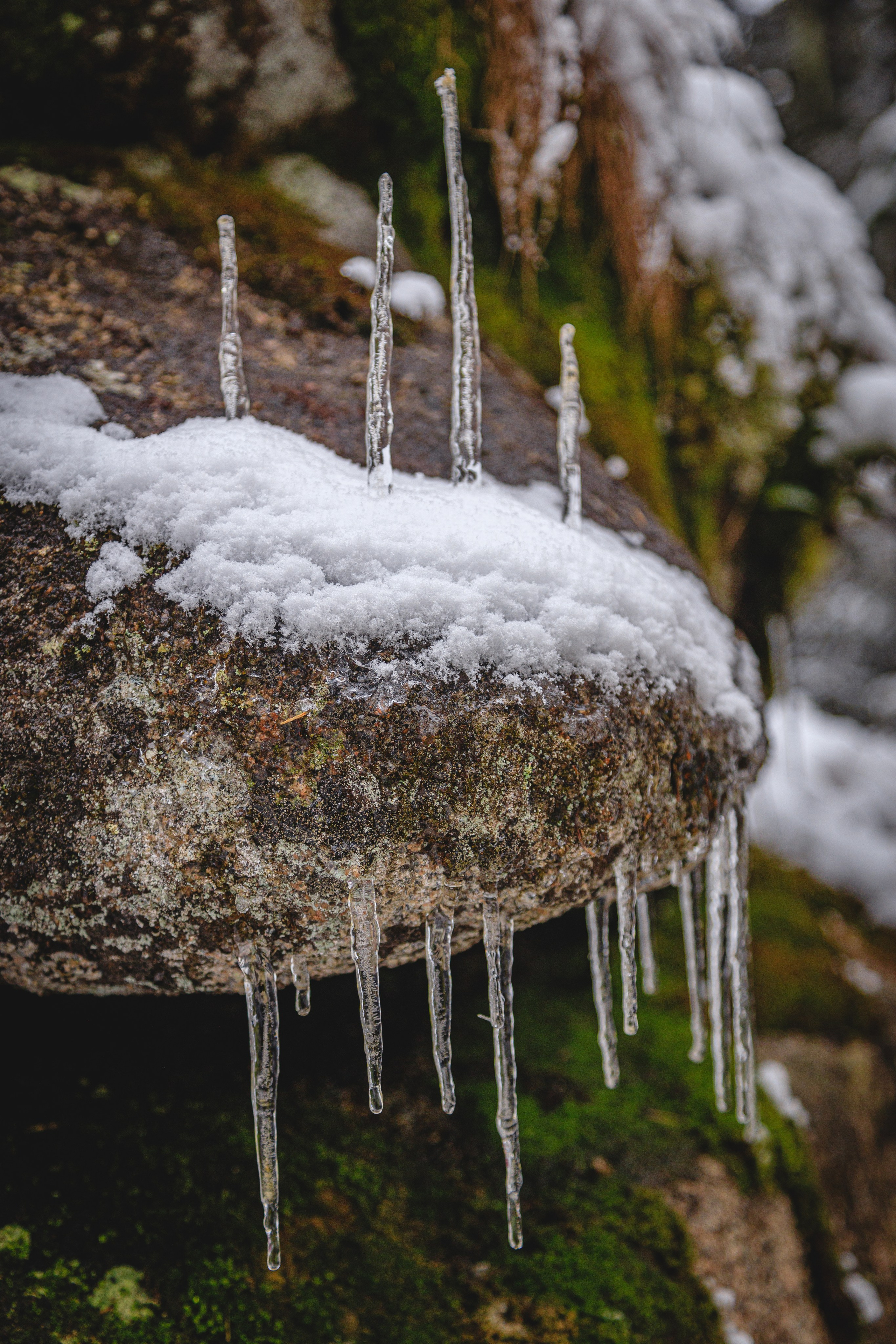 Ергаки (2022-23). Фотограф ваших событий в Красноярске — Макс Захарченко