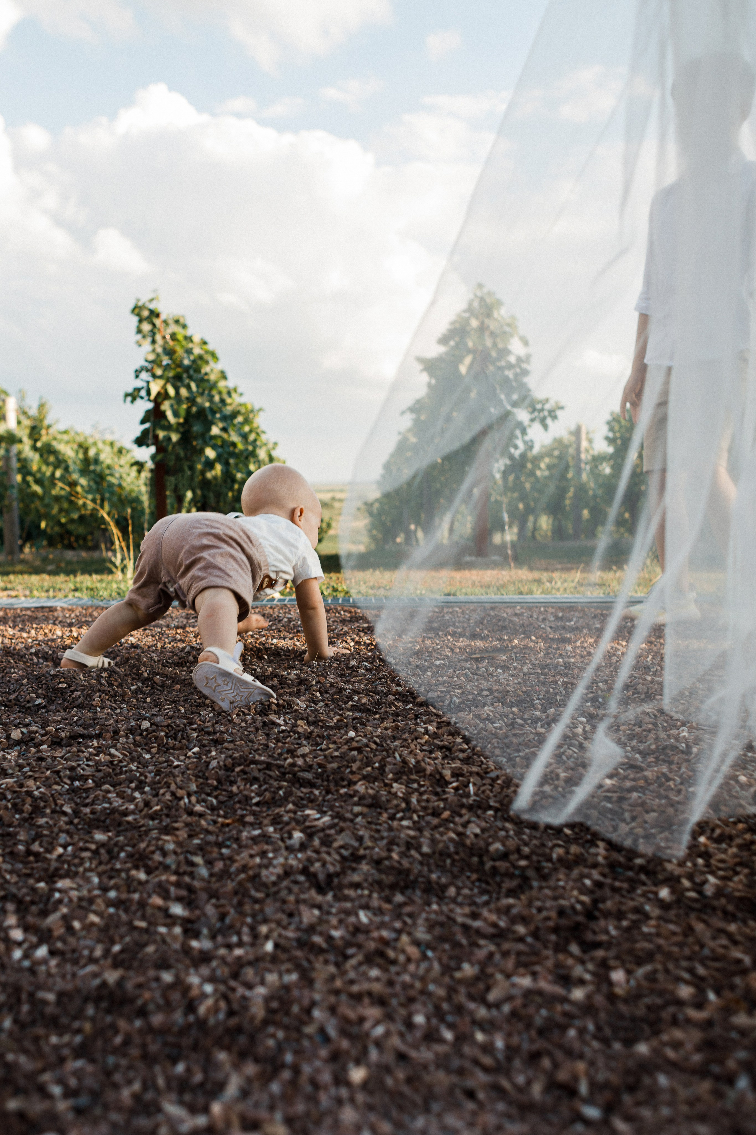 Антон и Мария. Свадебный и семейный фотограф в Ростове-на-Дону Анастасия Арестова