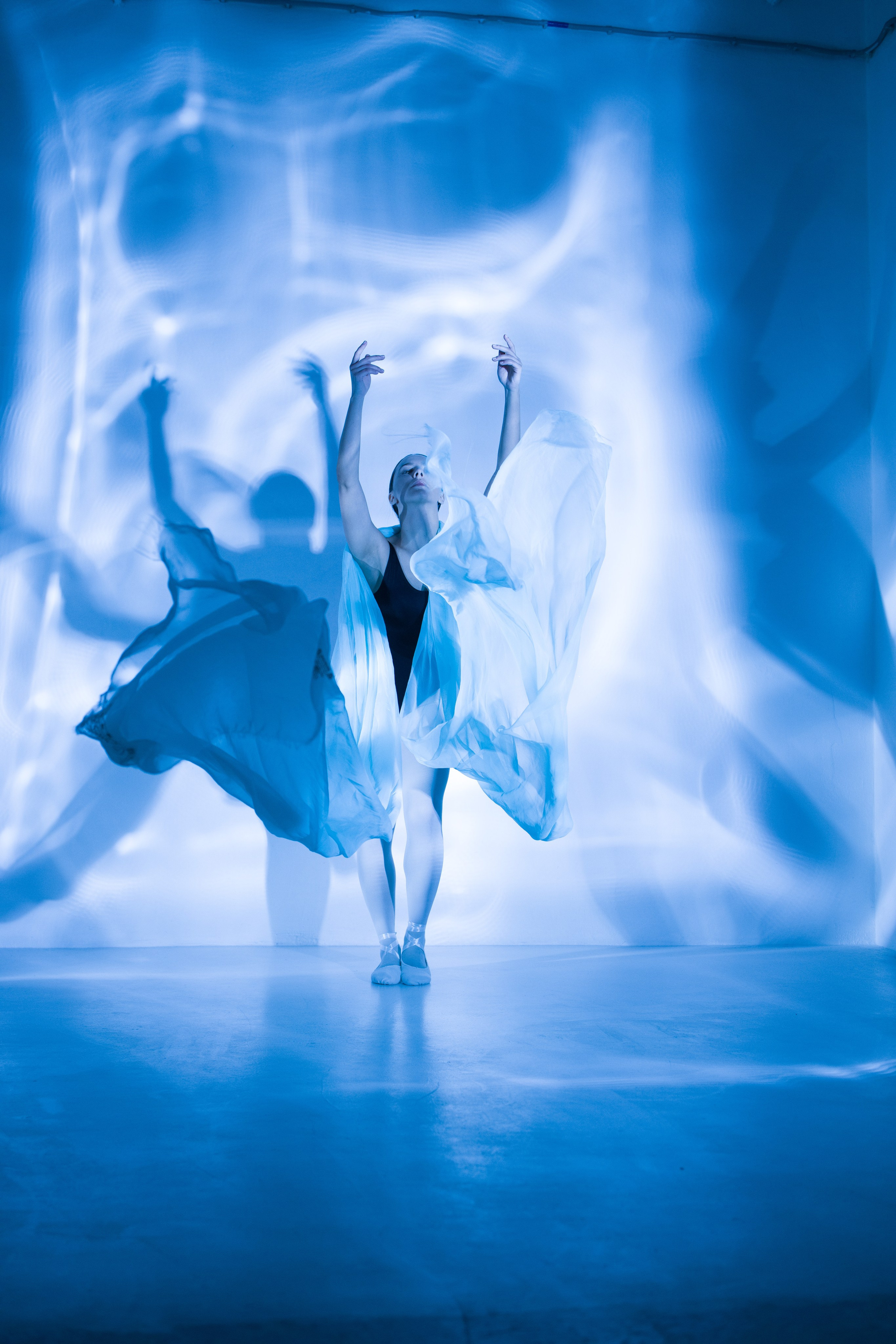 Лилия. Художественная фотография