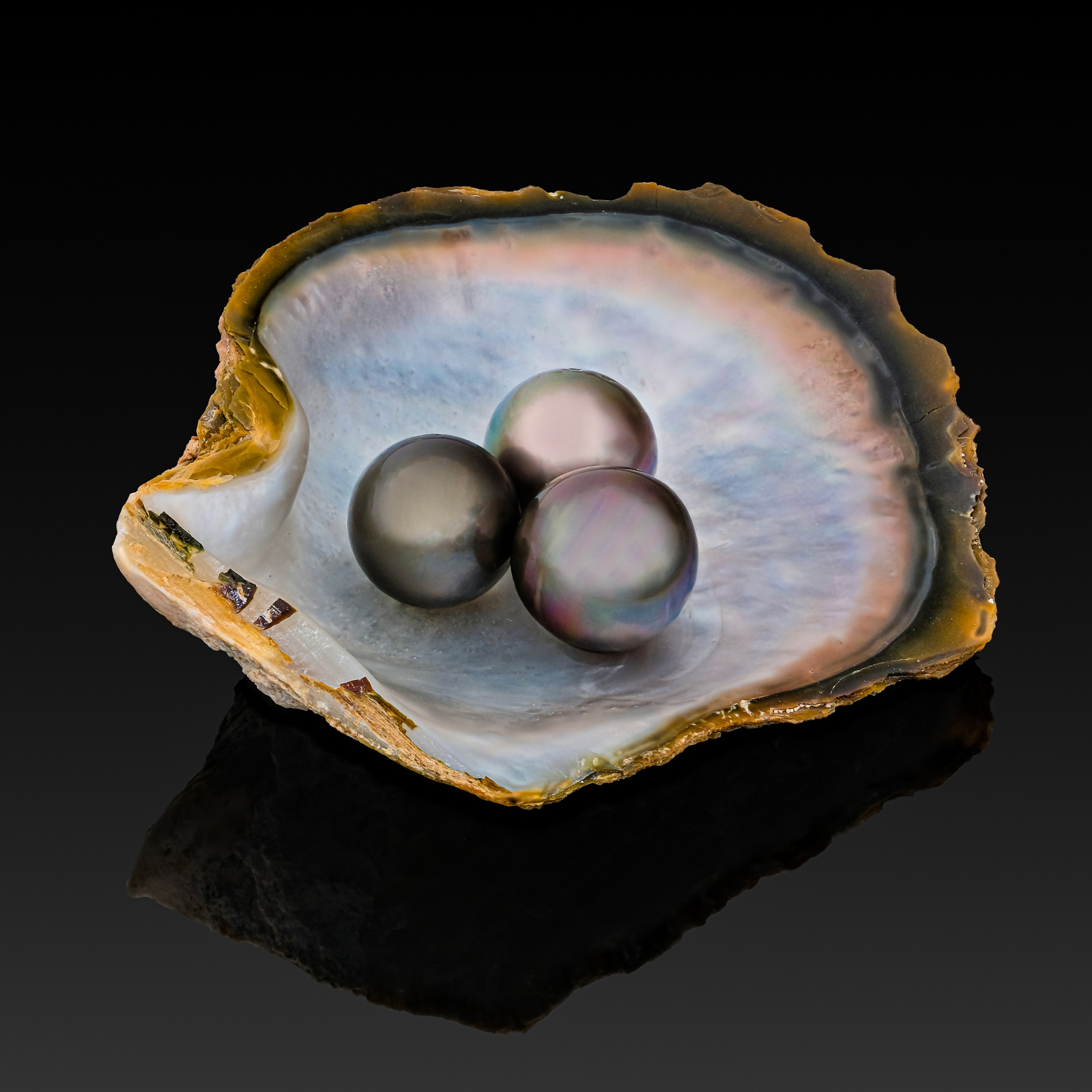 Рекламная эксклюзивная предметная фотосъёмка ювелирных изделий в Москве  тел +7 966-003-13-07. Высококачественная профессиональная рекламная фотосъёмка ювелирных украшений, драгоценных камней в Москве. Обучение, консультация