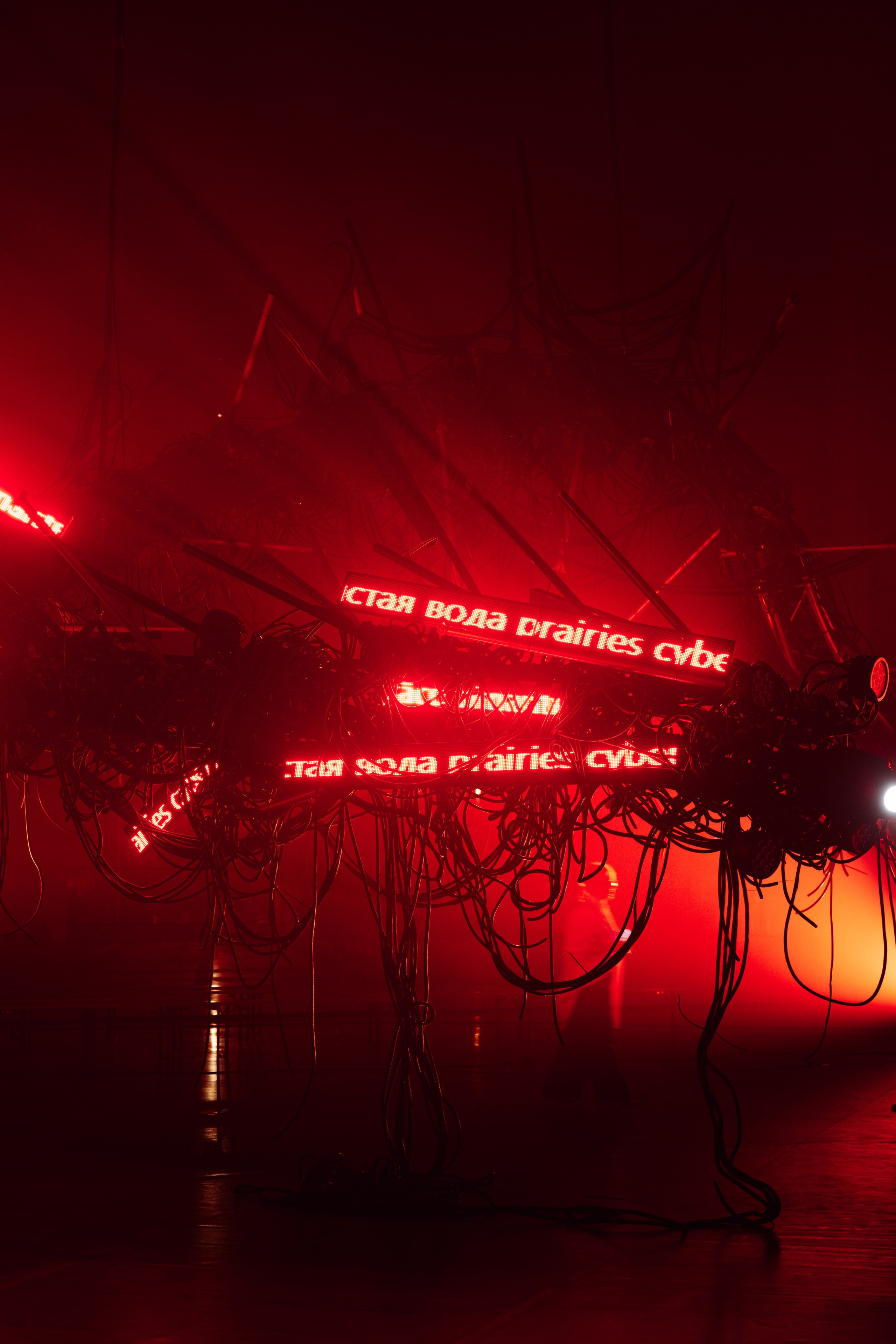 PANTERRA, CHRONOMORPH 001. @tomrus: Рустам Шагиморданов — фотограф