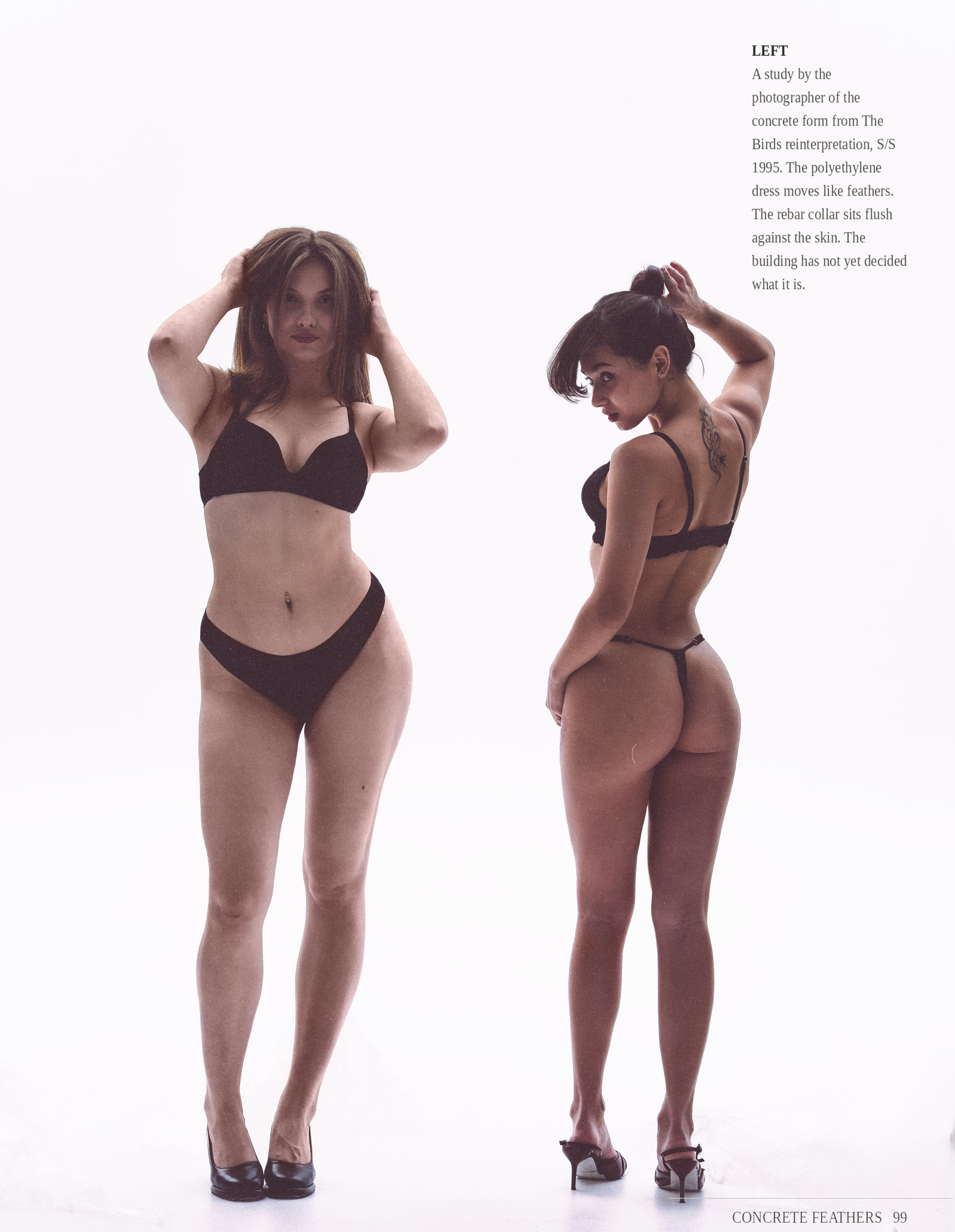 The birds inspiration. Фотограф Тимур Хайруллин