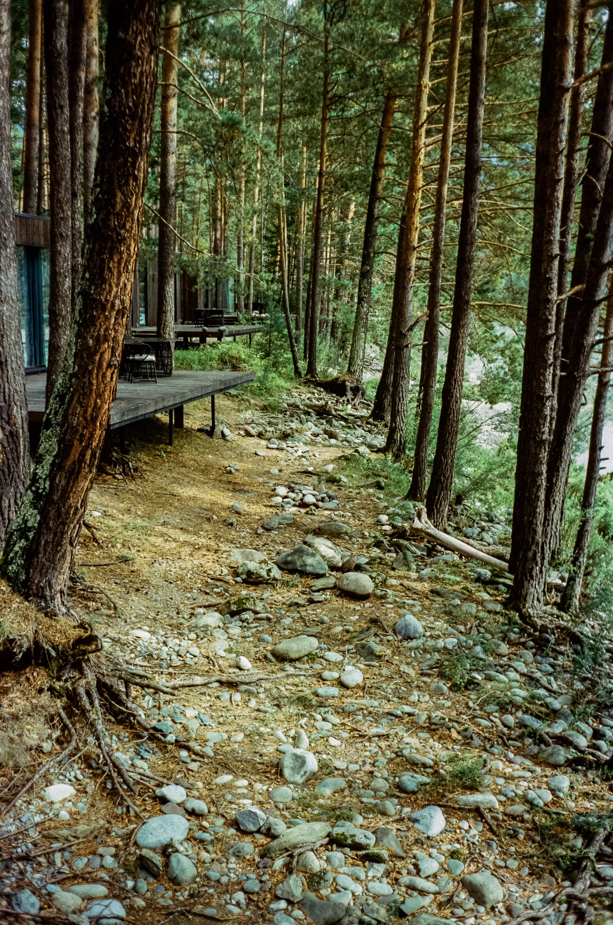 Горный Алтай на пленку