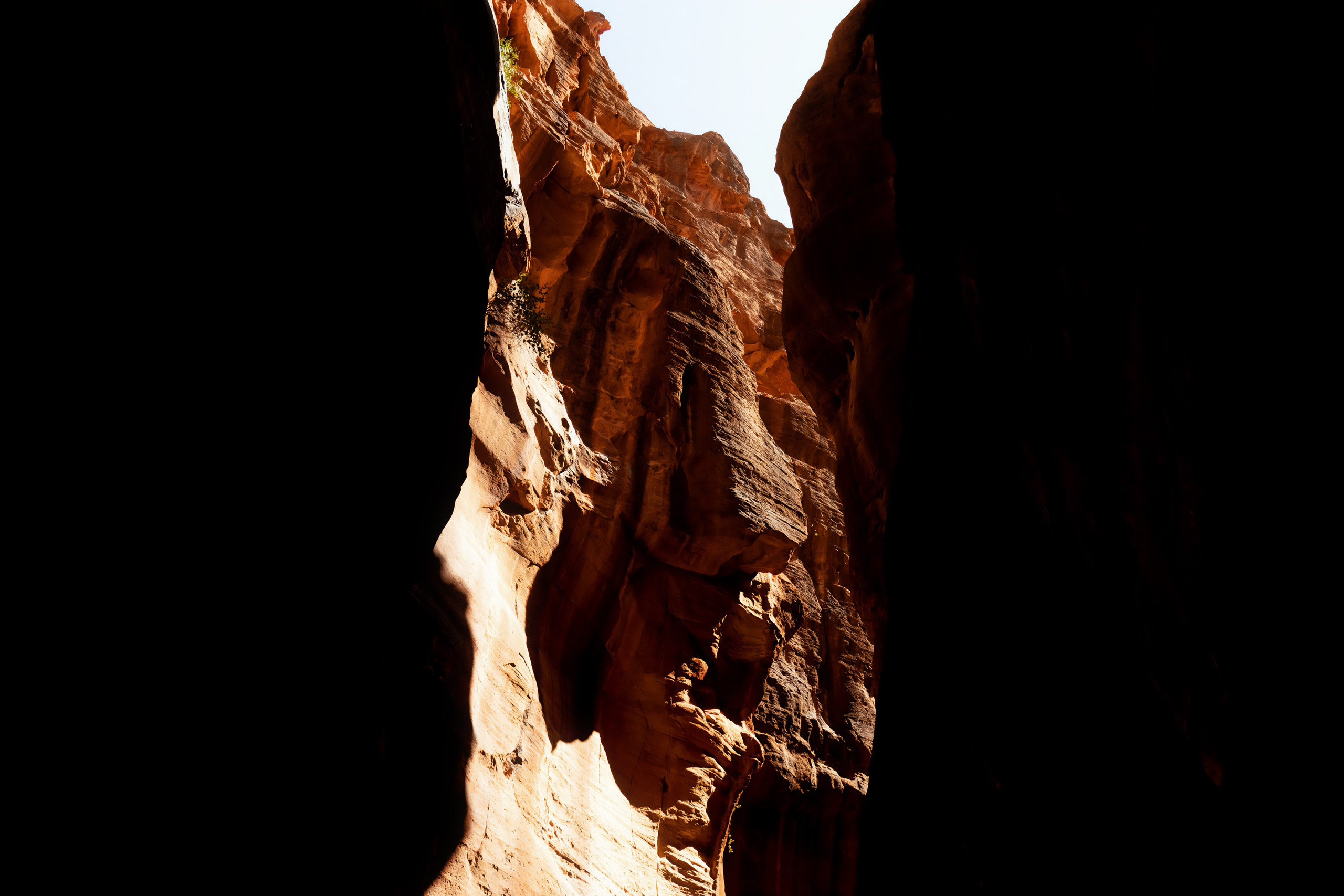 Турция, Греция, Иордания. Фотограф в Хабаровске. Фотография за 24 часа