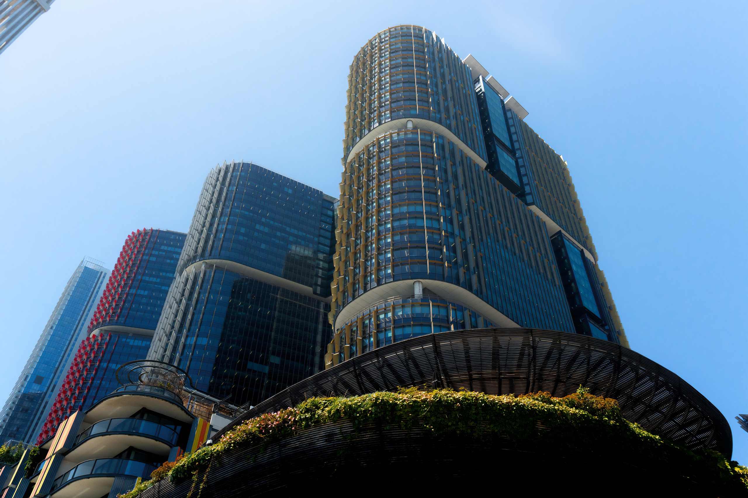 Австралия. Фотограф в Хабаровске. Фотография за 24 часа