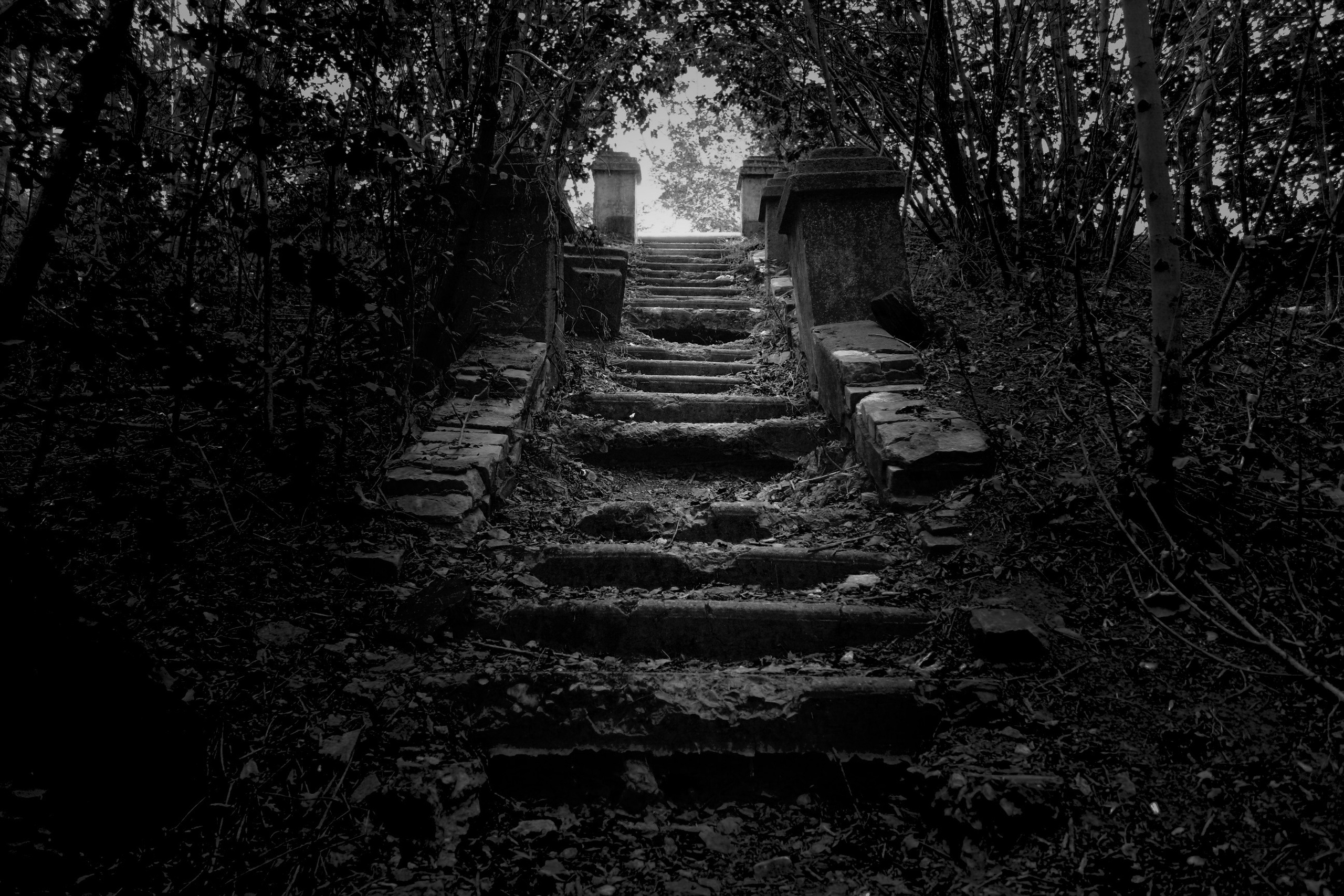 Черно-белое. Фотограф из Донецка Александр Турко