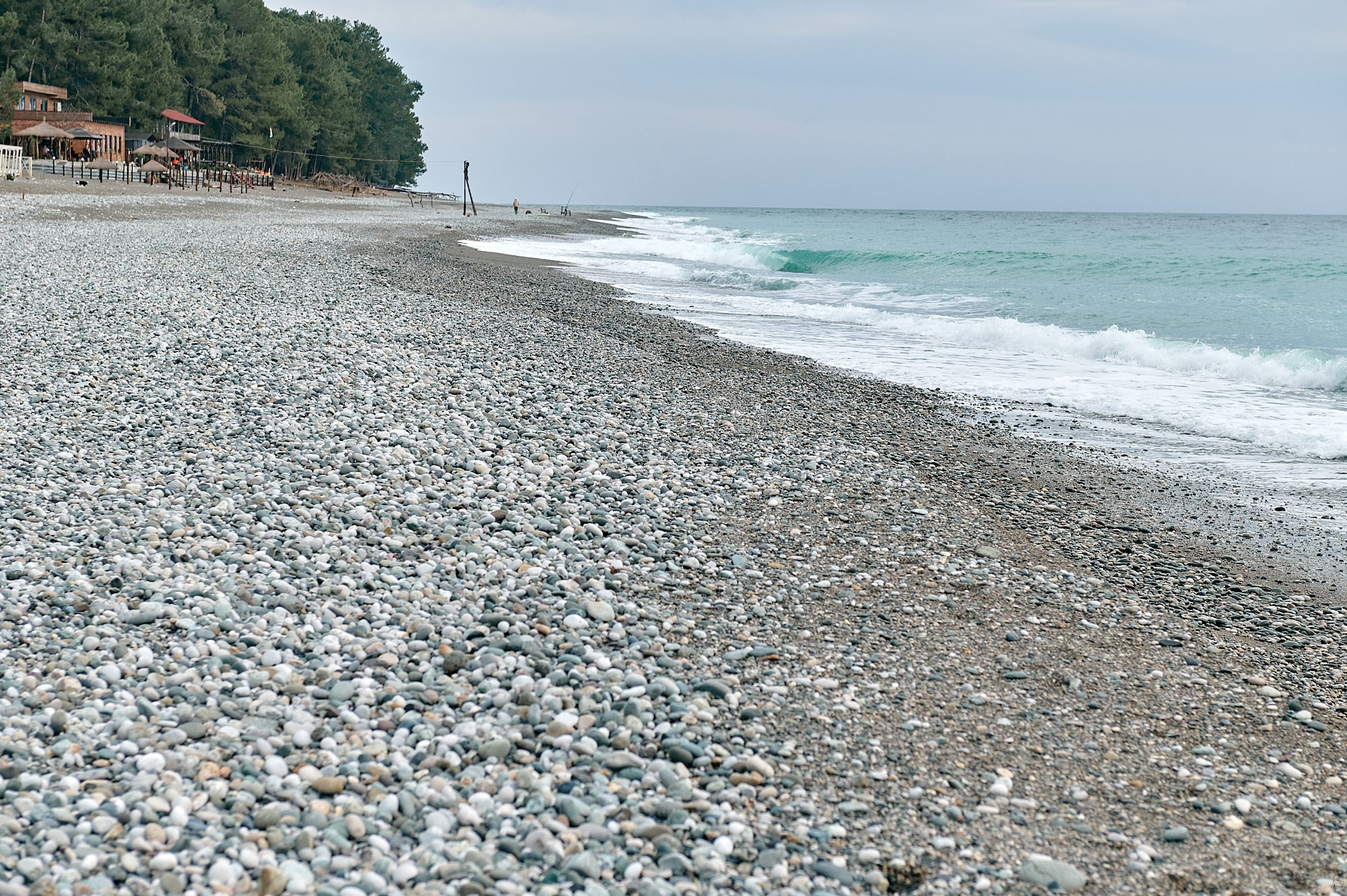 Пицунда, Абхазия. Декабрь 2024. Фотографии отовсюду и обо всем