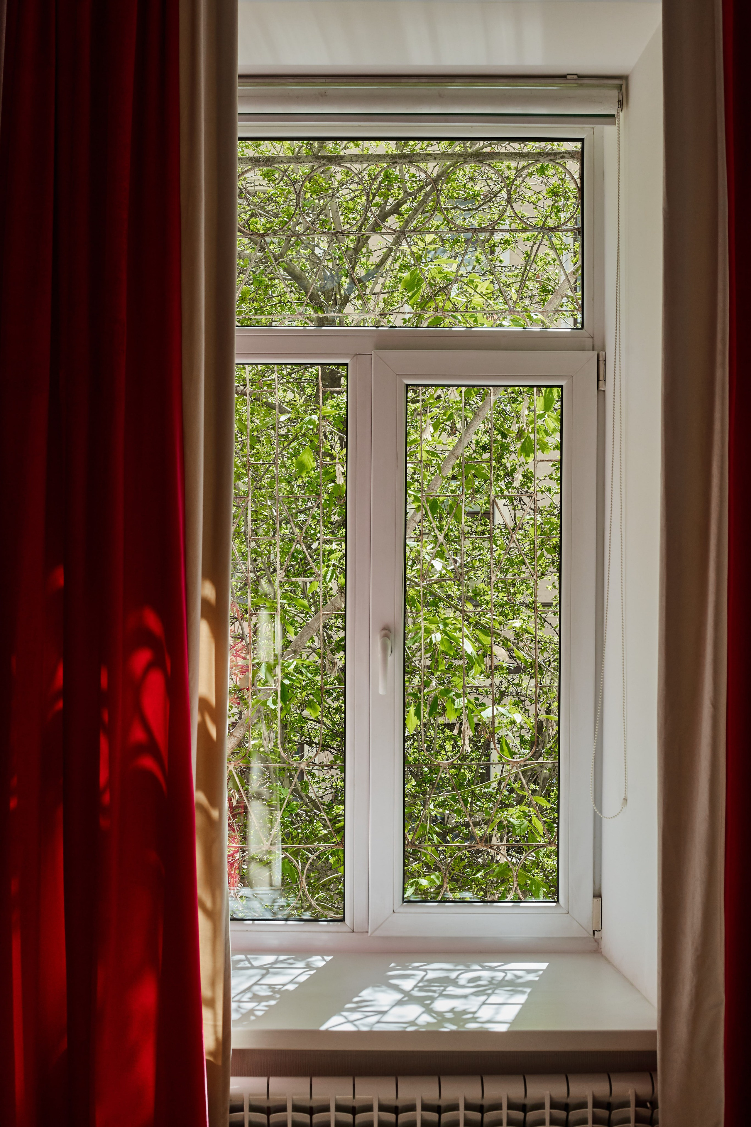 Жуковского 29. Фотограф Александра Иванова