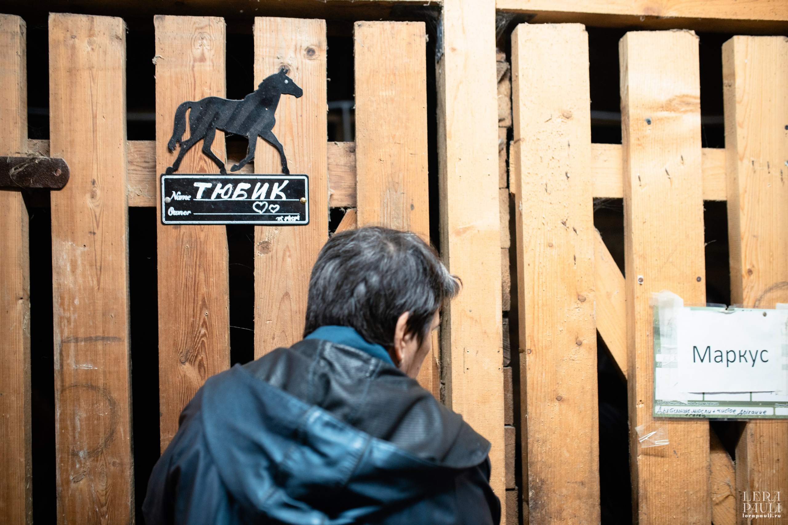 ДПСО «ЛизаАлерт». Главная