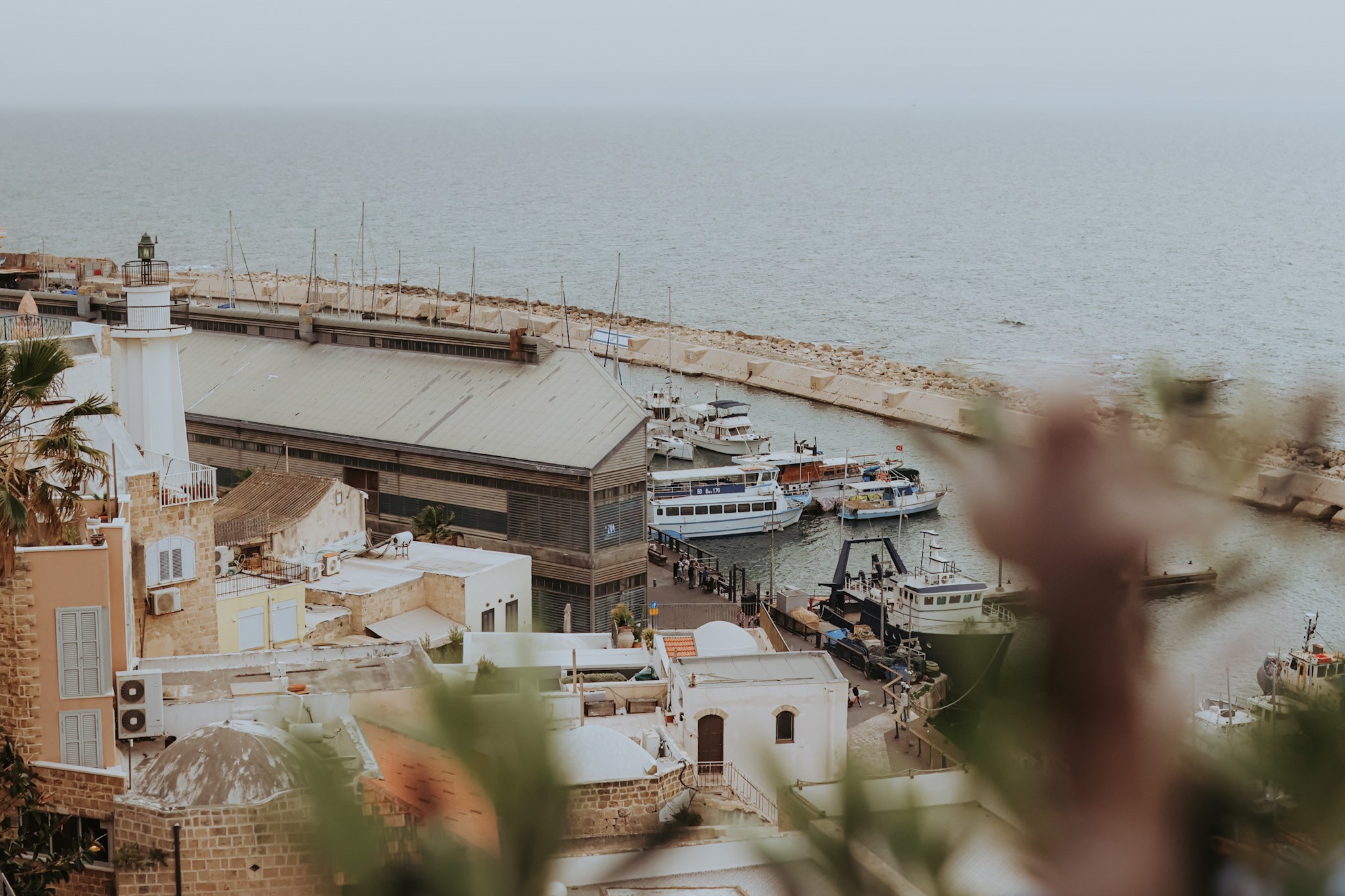 Allie and Marc's wedding, April 2025. Photographer in Israel Alice Milchin