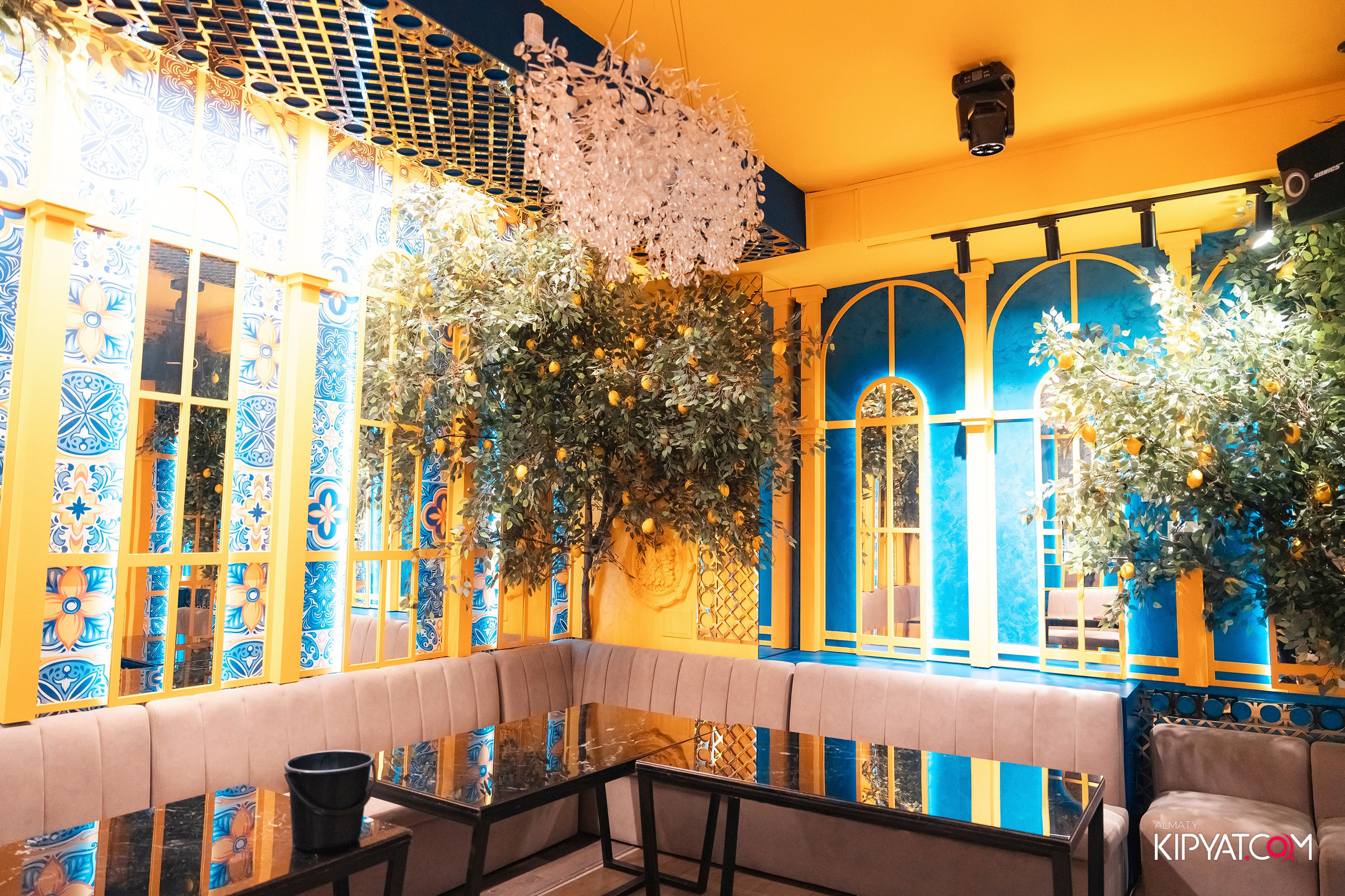 УХО И МЕДВЕДЬ НА КУРМАНГАЗЫ. КИПЯТКОМ АЛМАТЫ! Фотосъемка мероприятий в Алматы