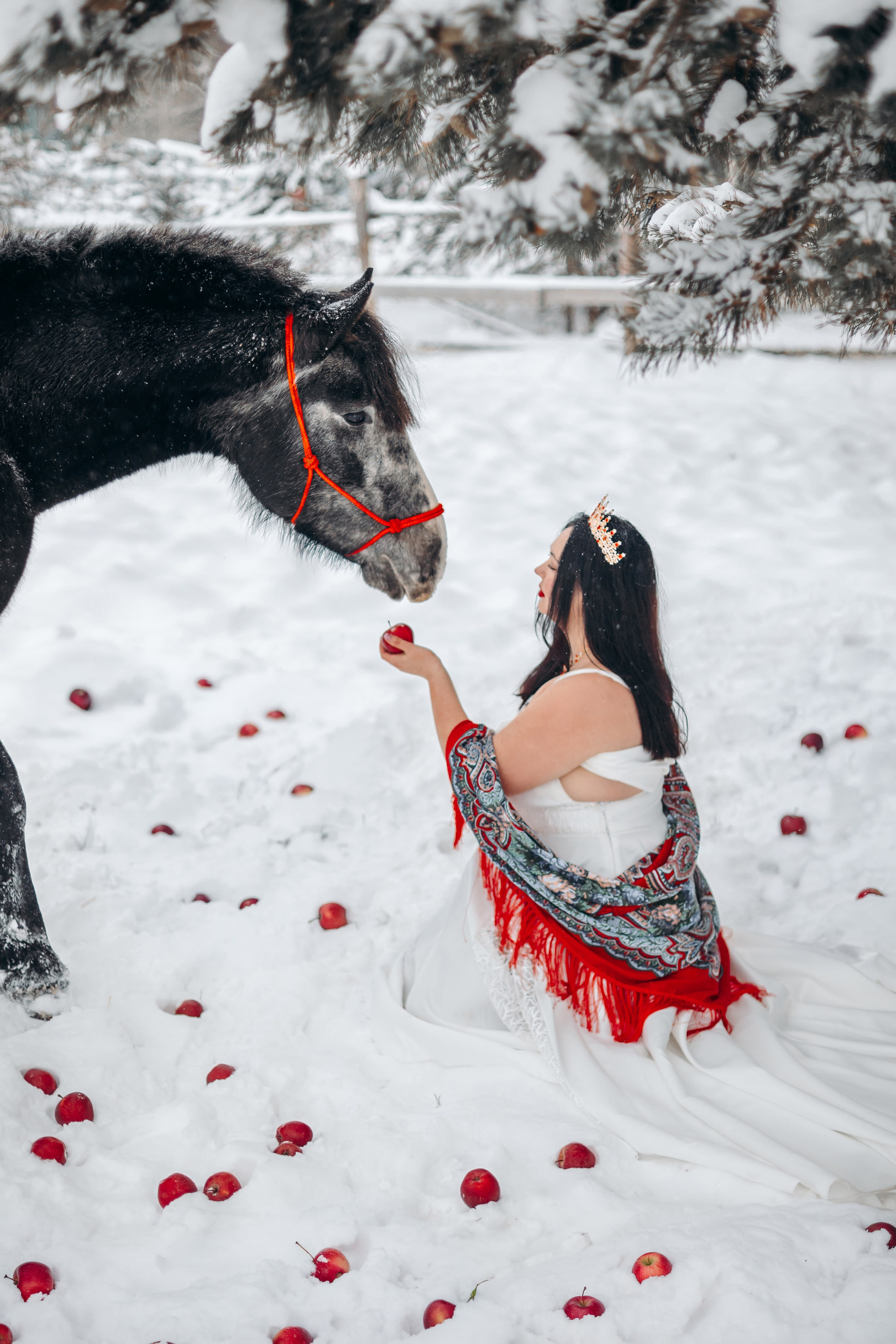 Яблоки на снегу. Анна Молчанова конный фотограф в Тюмени | фотосессии с лошадьми Тюмень