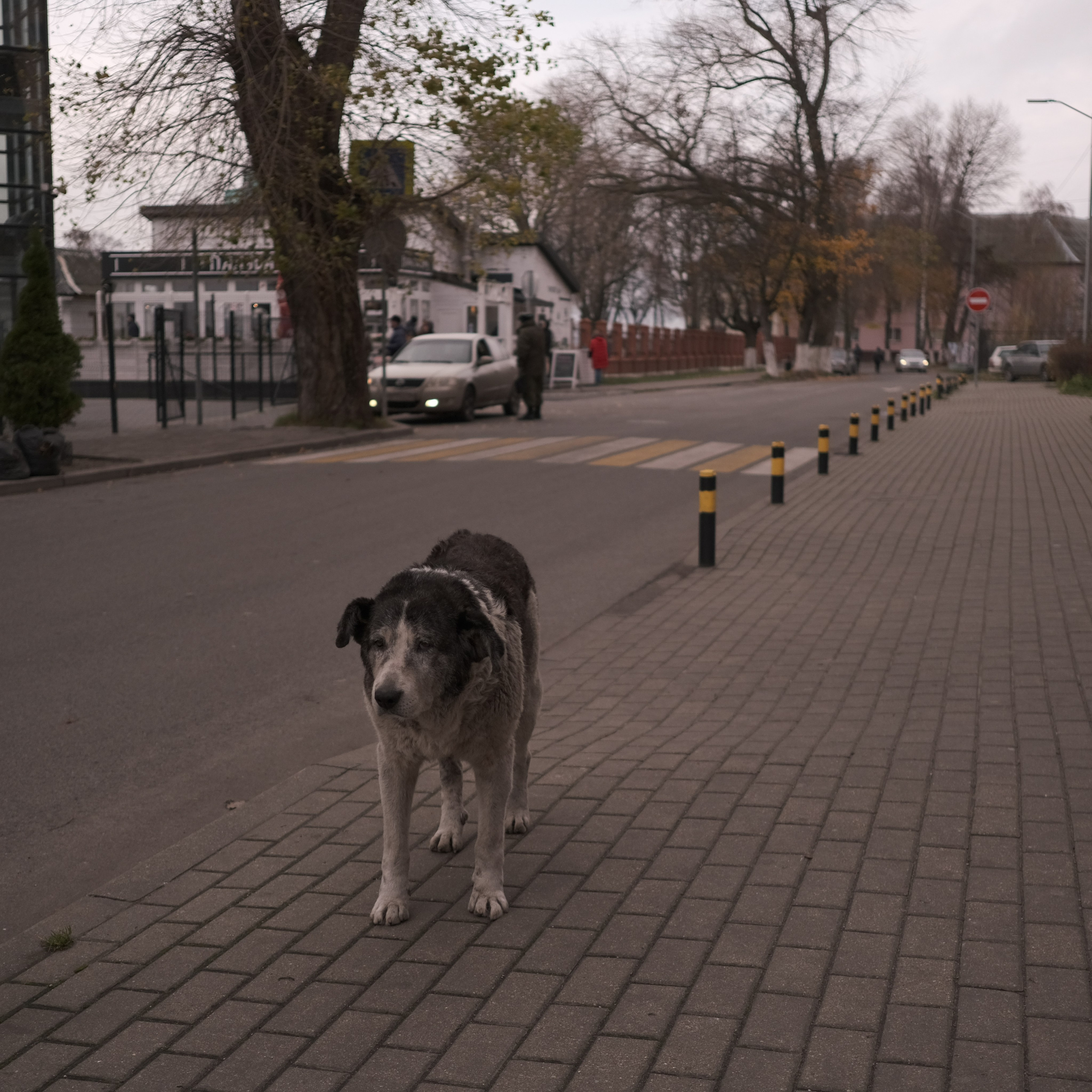 Калининград. LIYALEE PHOTO