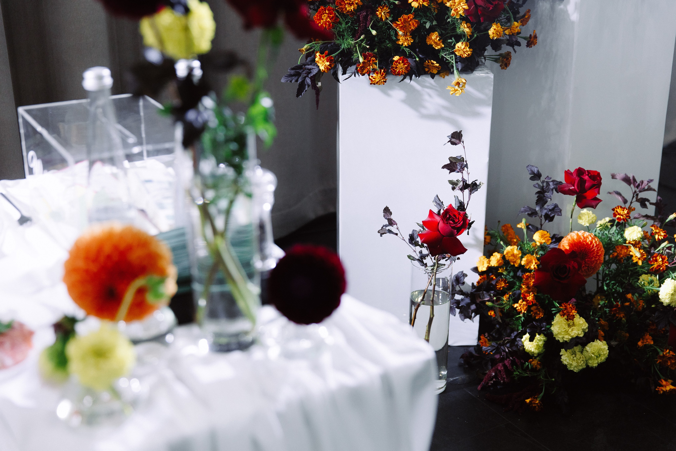 Антонина & Ярослав