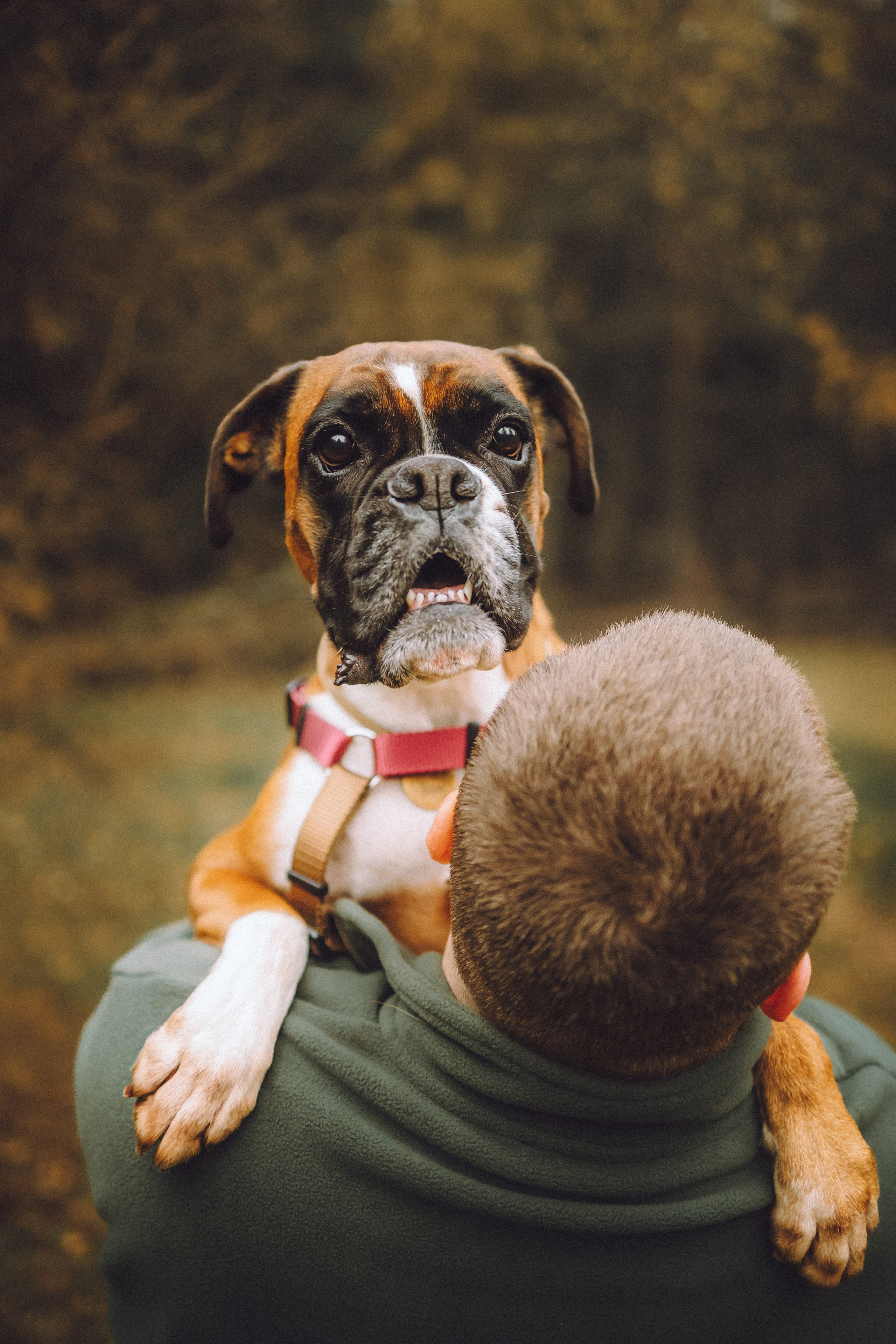 Элли и ее семья