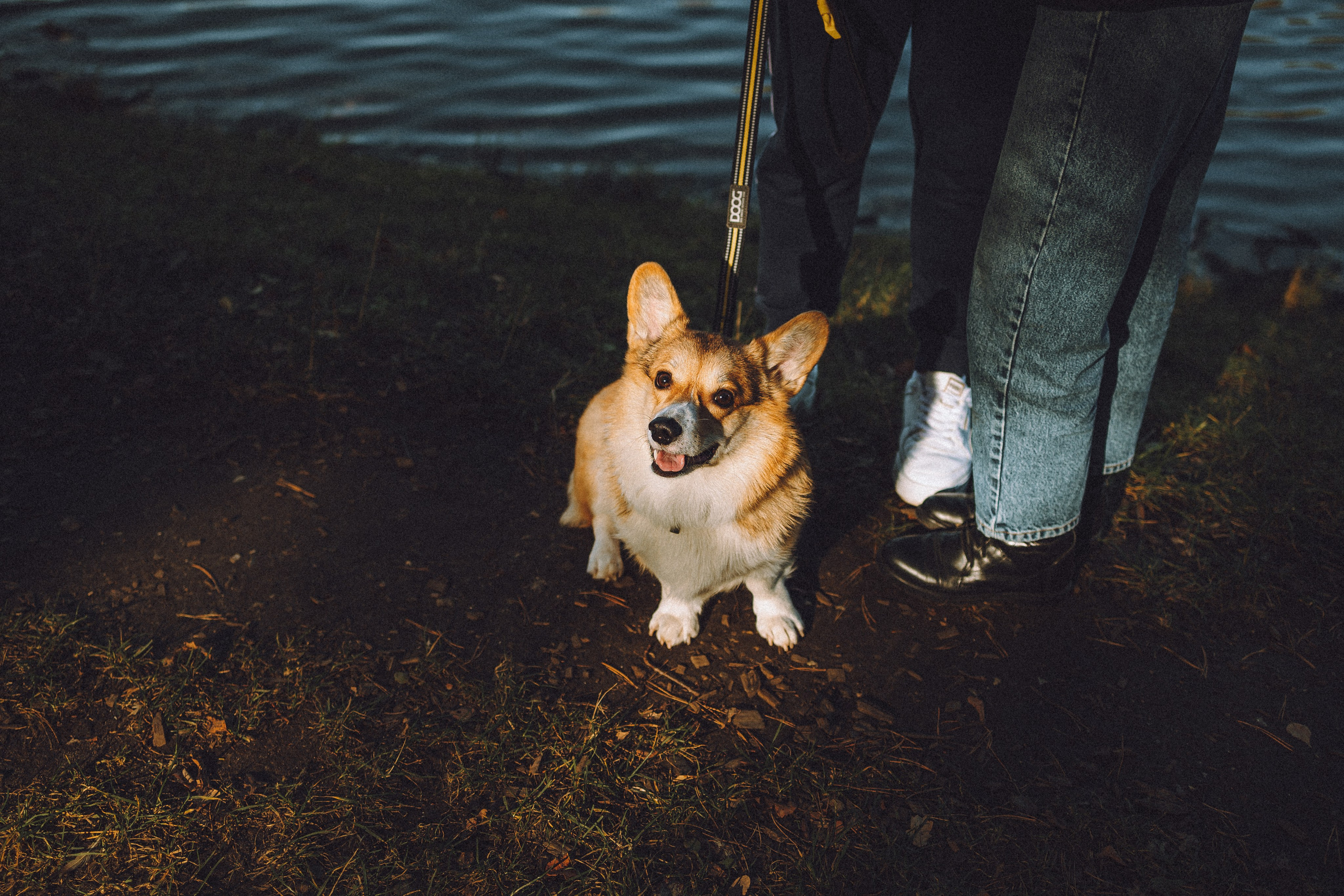 Карина, Даня и Аркаша