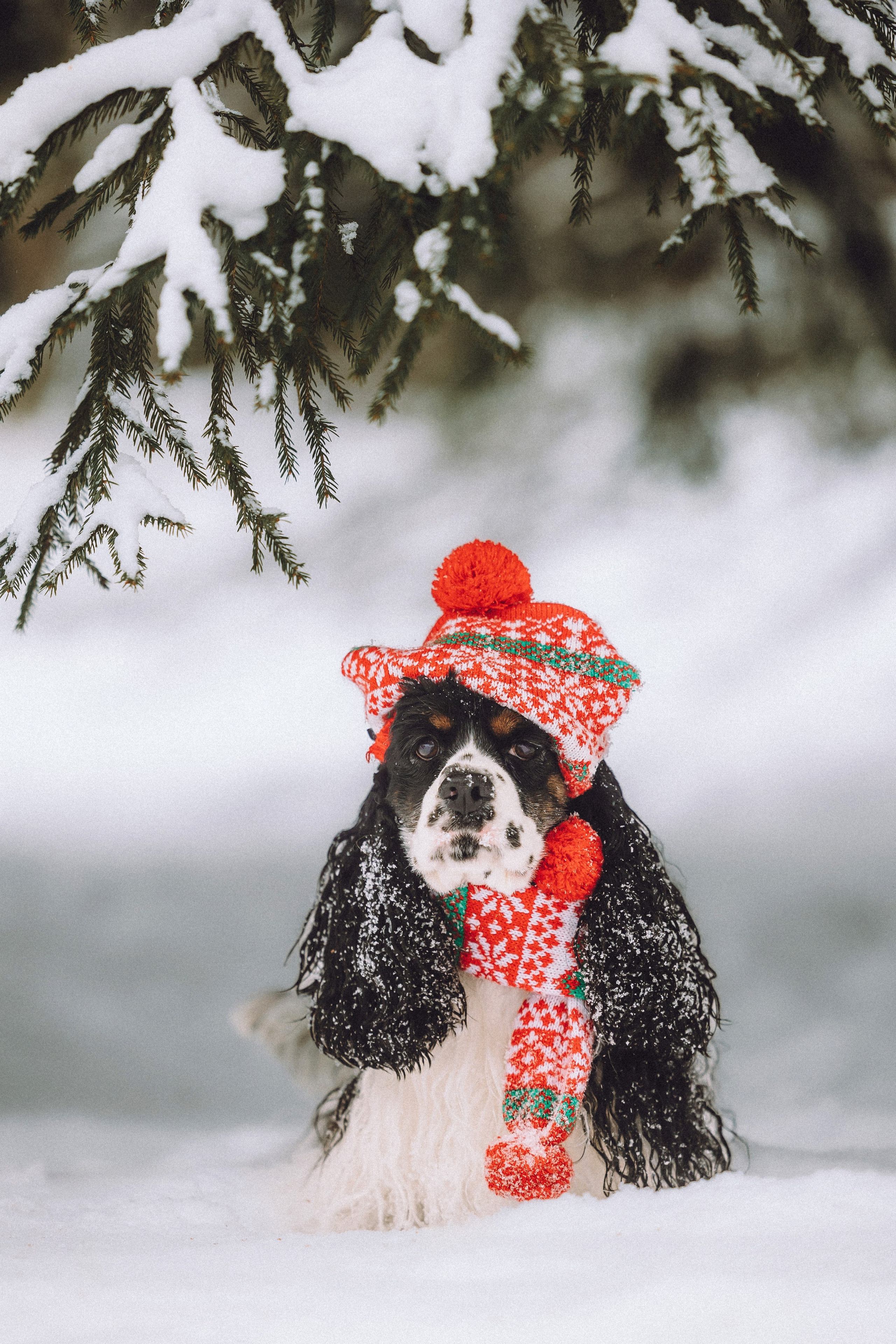 Ольга и Патрик