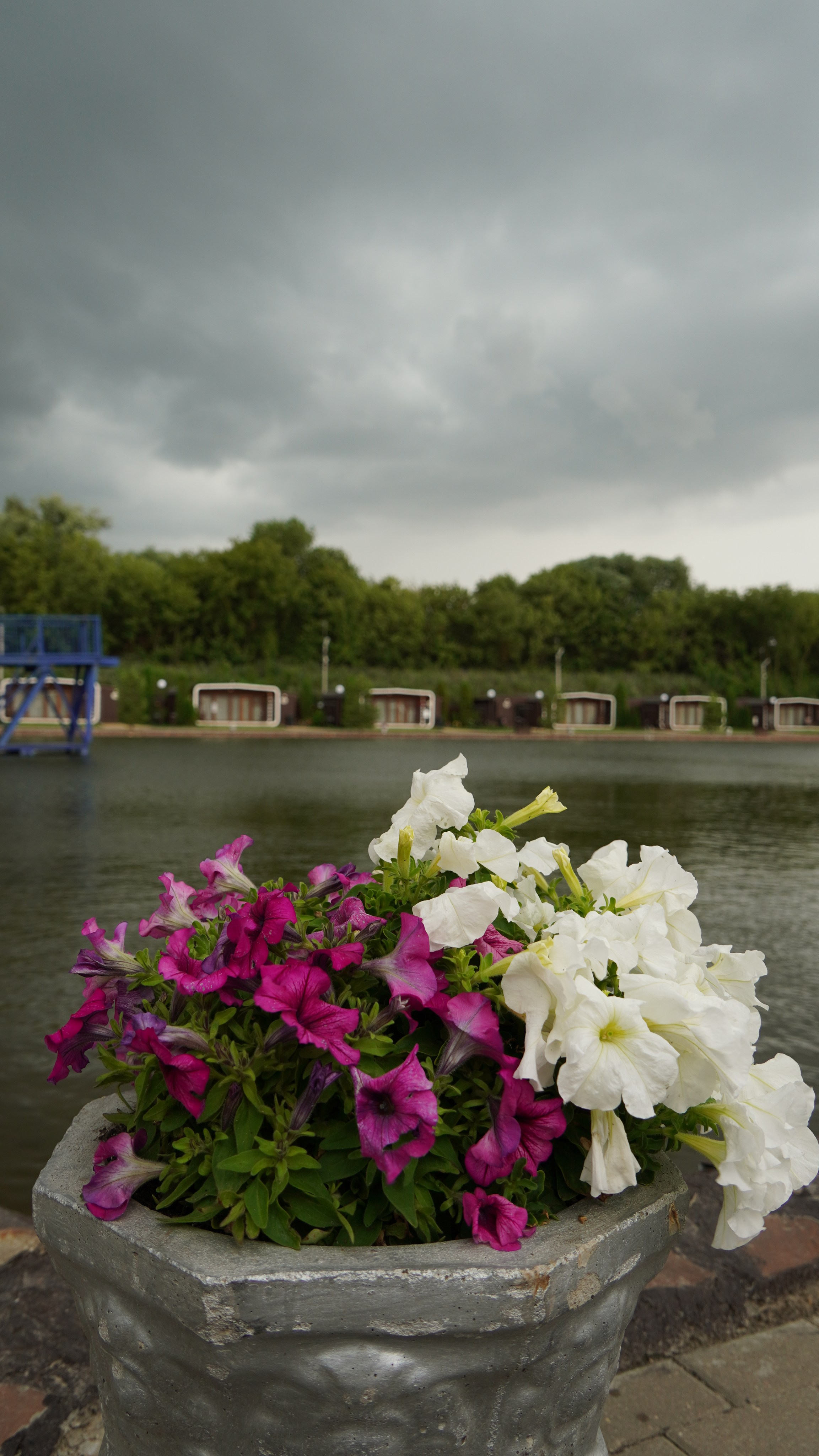 Архитектура и природа. Главная