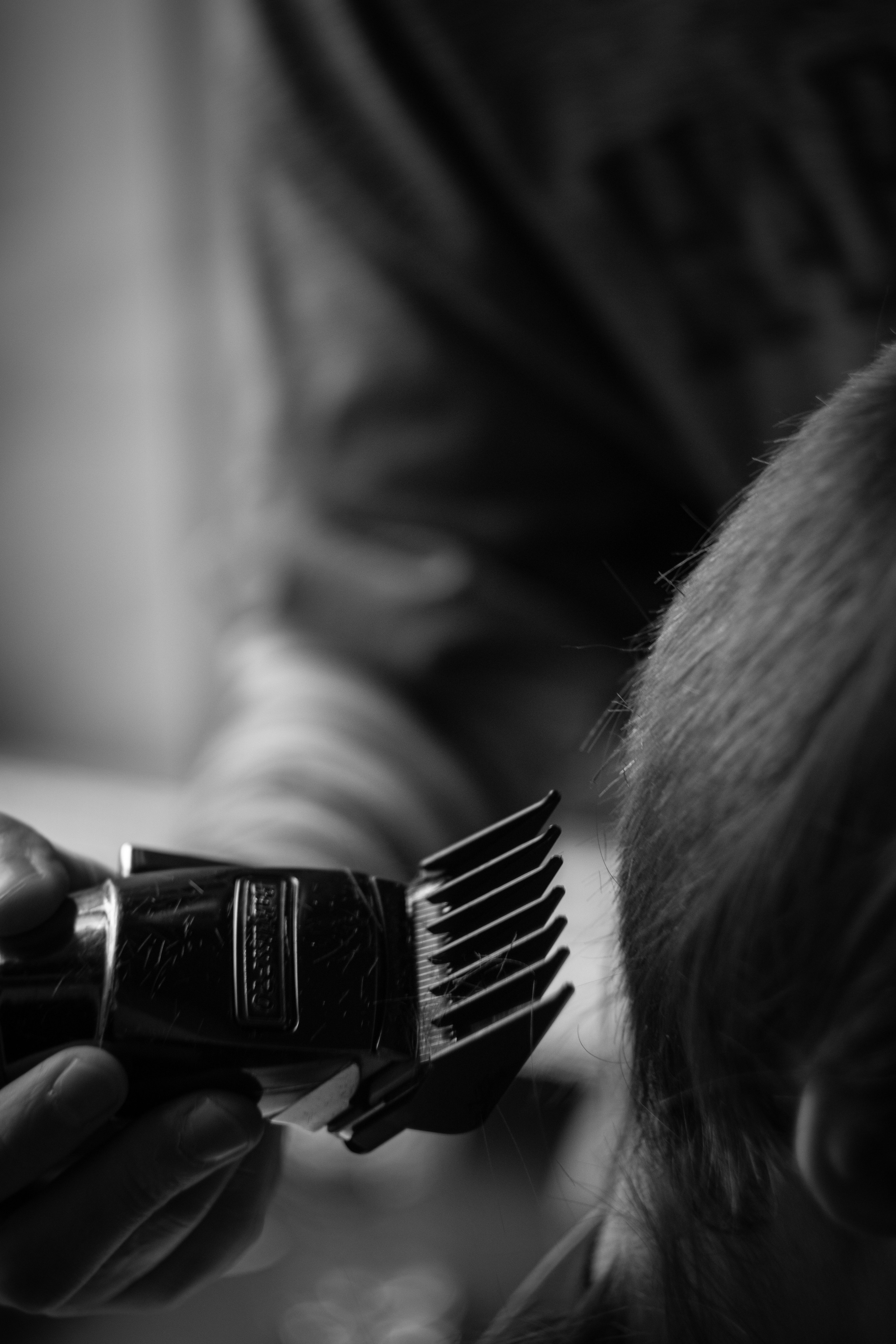 Стрижка). Фотограф Крутой Максим