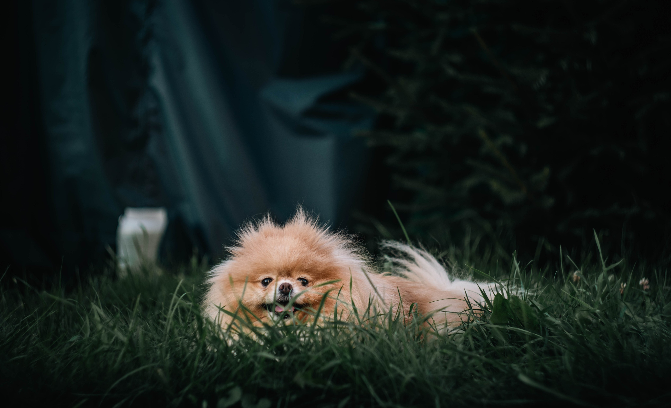 Без людей. Фотограф Крутой Максим