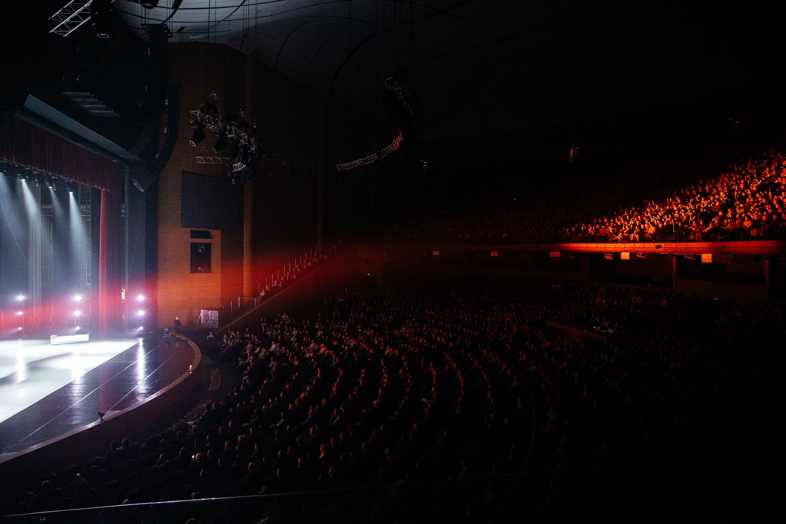 Мастер и Маргарита. Светский фотограф — Анисина Ирина