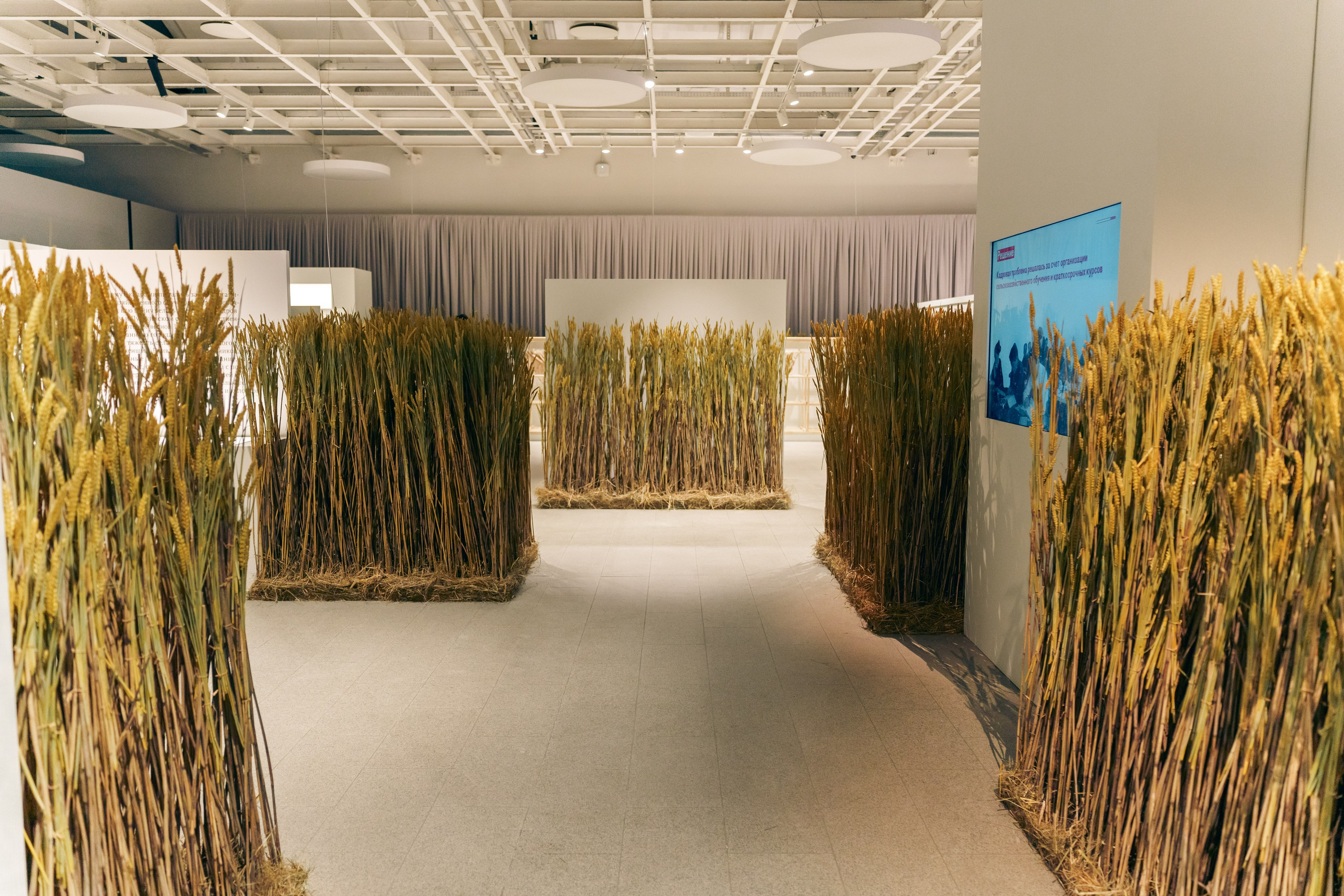 Выставка Великая страна — великая победа. Фотограф в Санкт-Петербурге Ибрагимова Алина